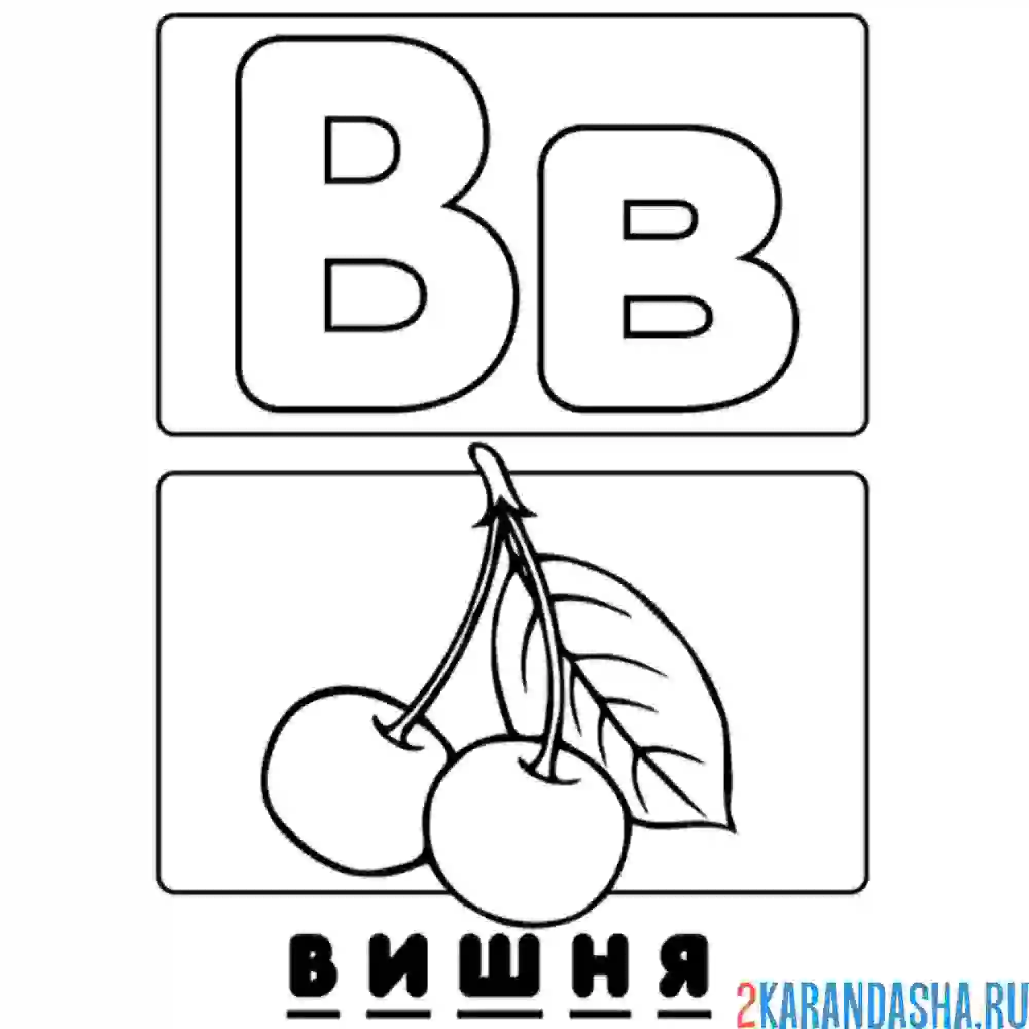 Раскраска буква в вишня алфавит