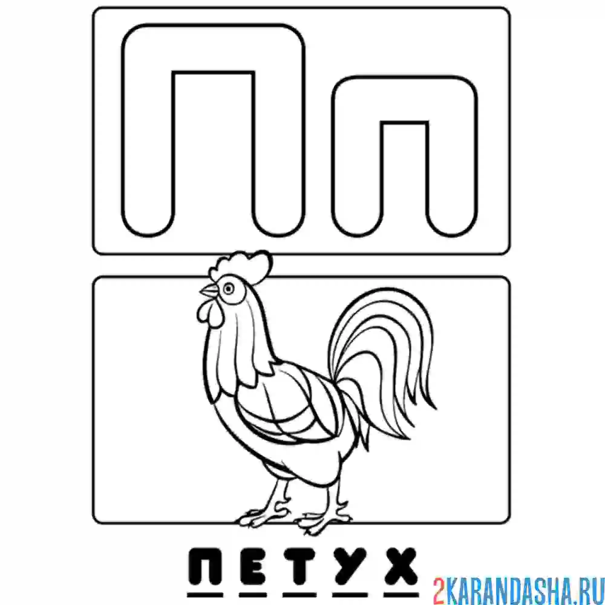 Раскраска буква п петух алфавит