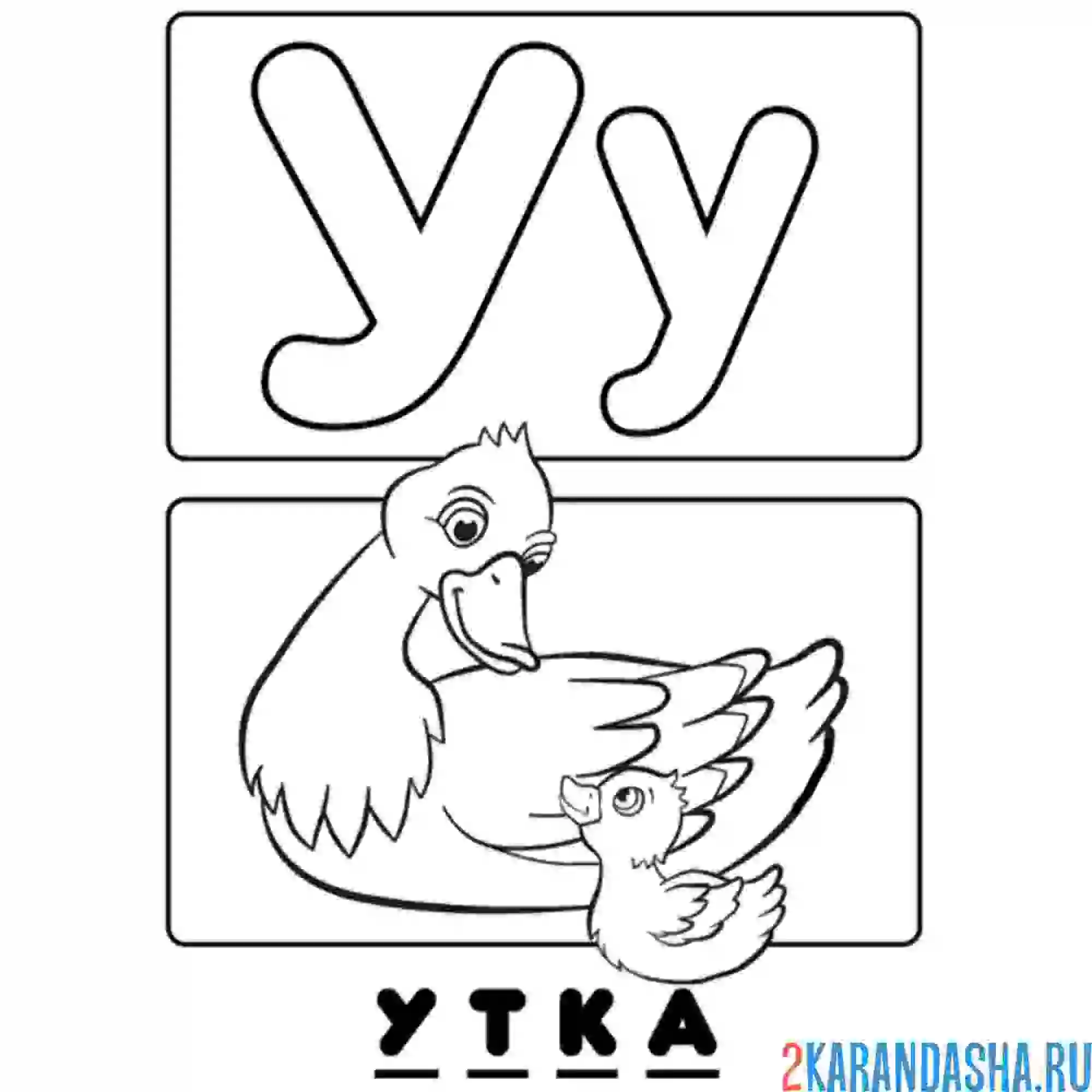 Раскраска буква у утка алфавит