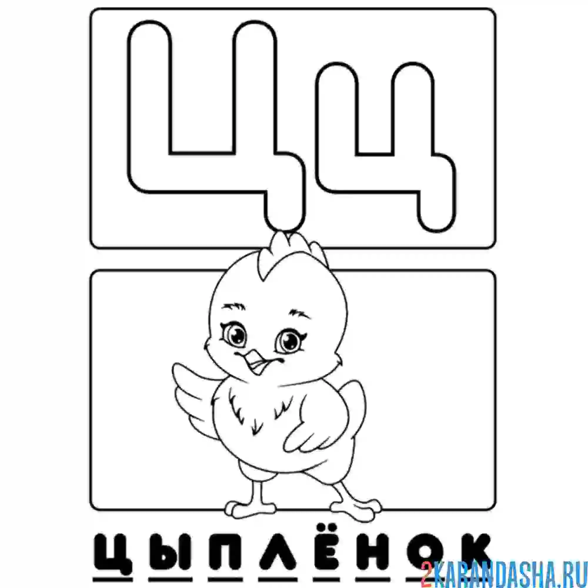 Раскраска буква ц цыпленок алфавит