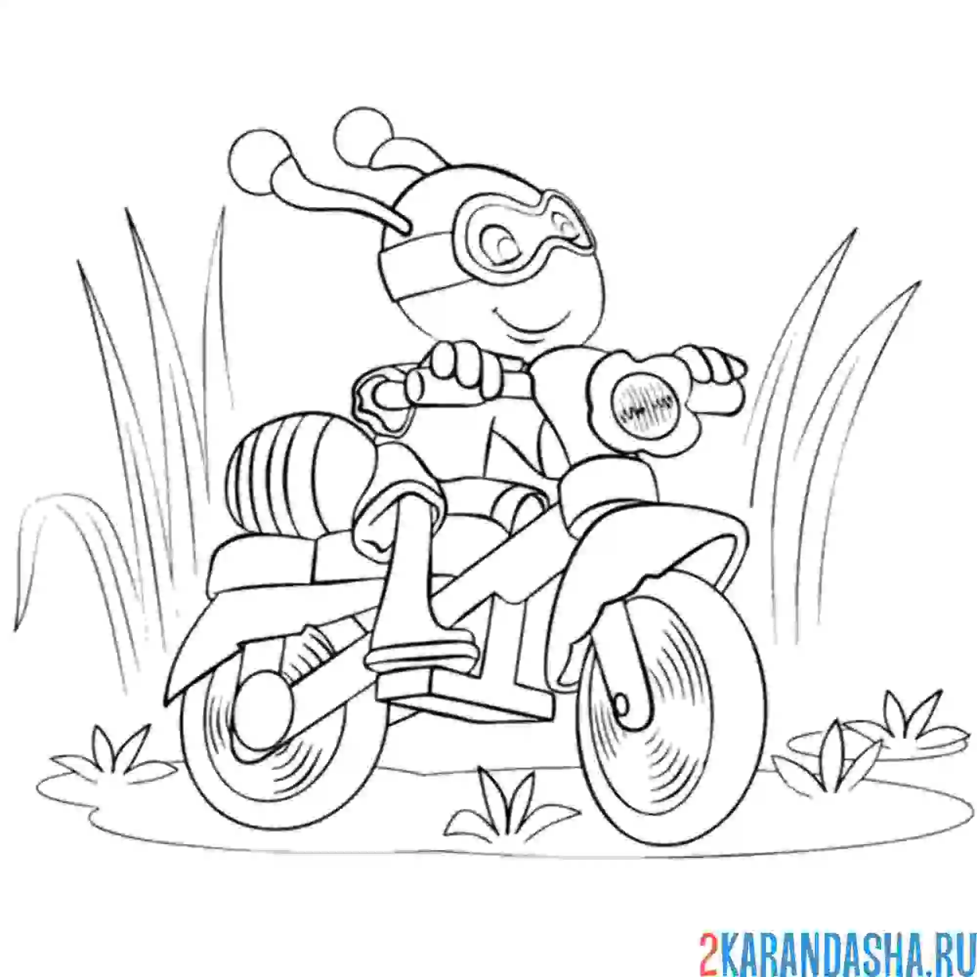 Раскраска пчелка на мотоцикле