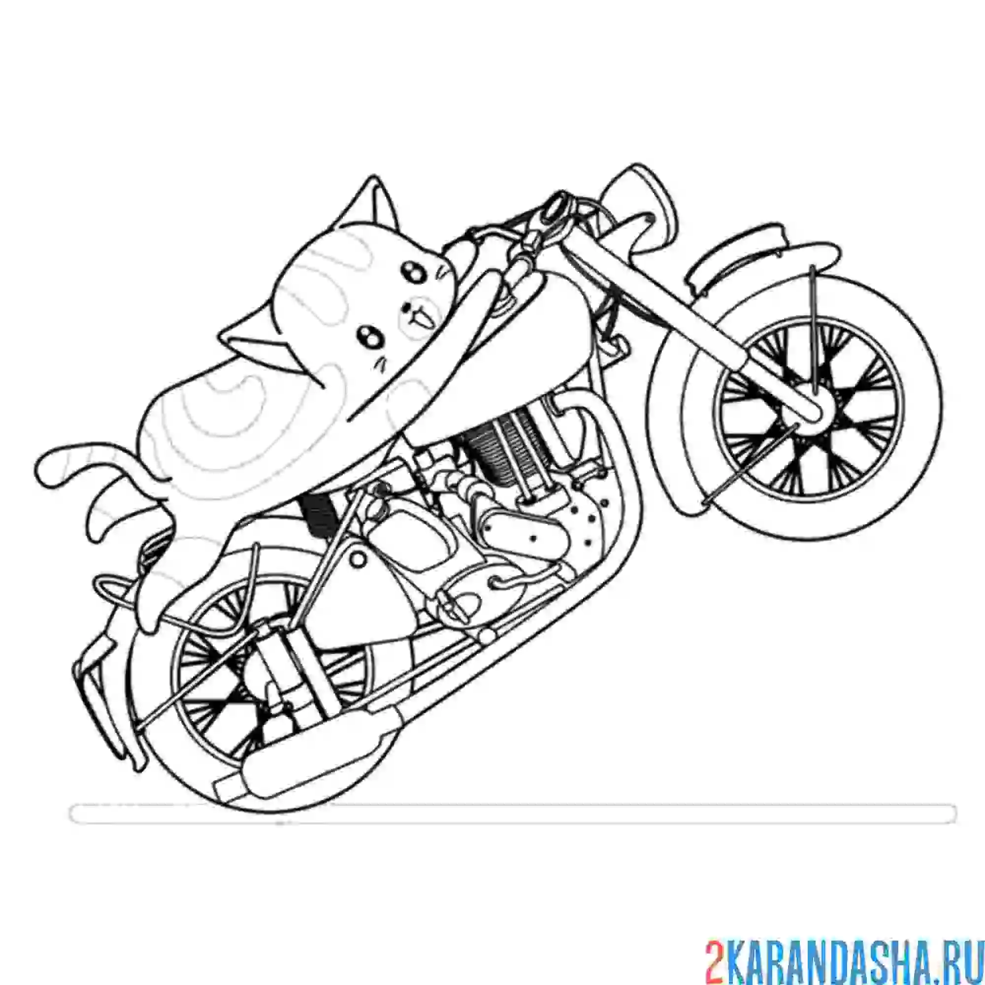 Раскраска котик на мотоцикле