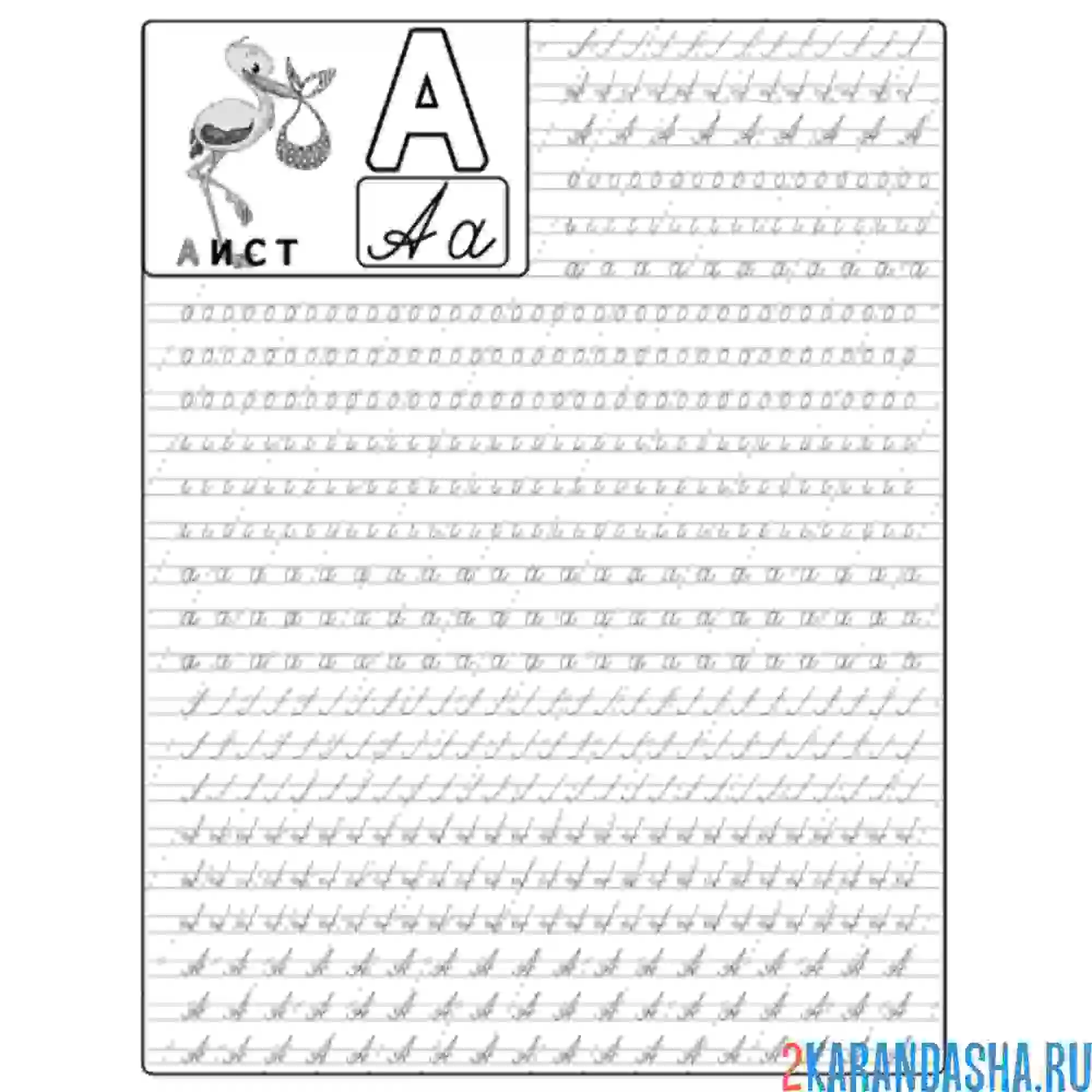 Раскраска строчные и заглавные буквы а пропись