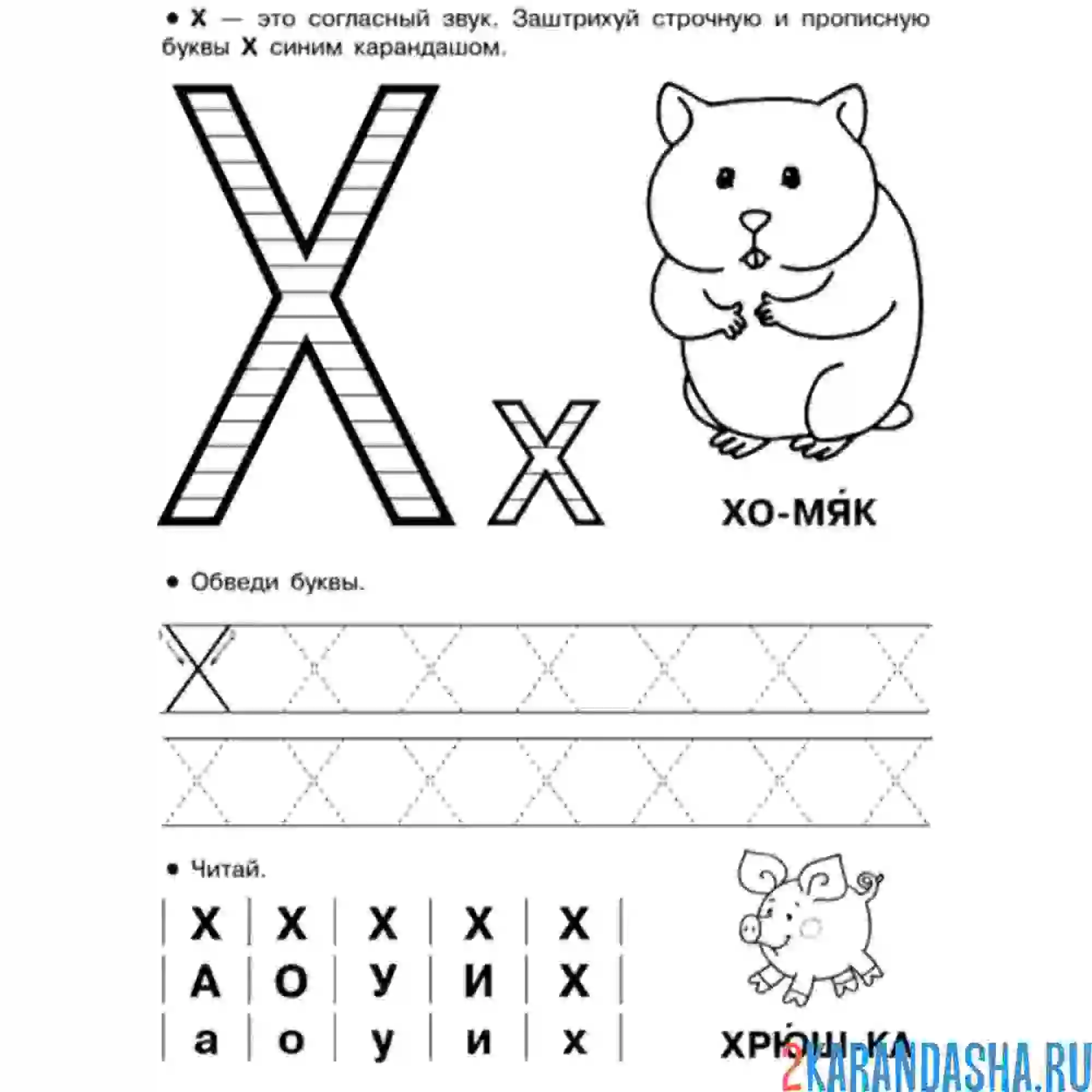 Раскраска буква х пропись с картинками