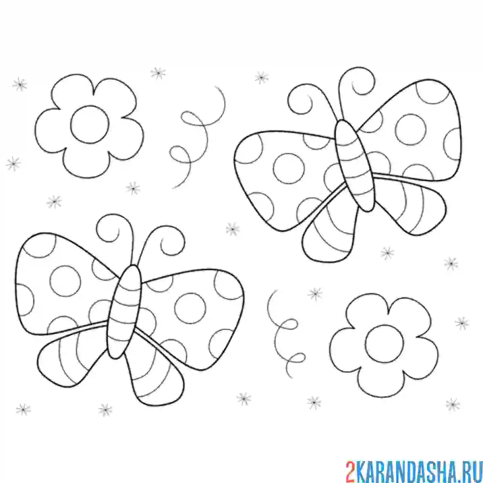 Раскраска бабочки легкие