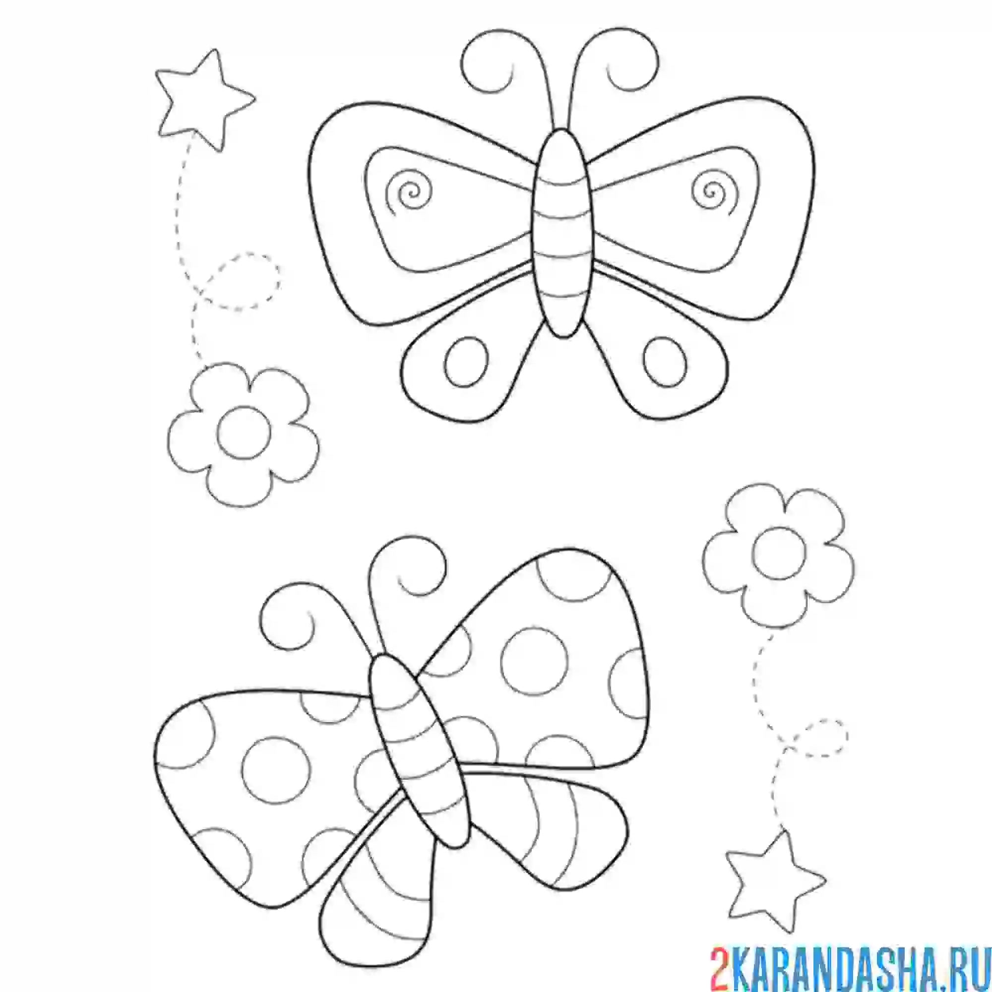 Раскраска простые бабочки