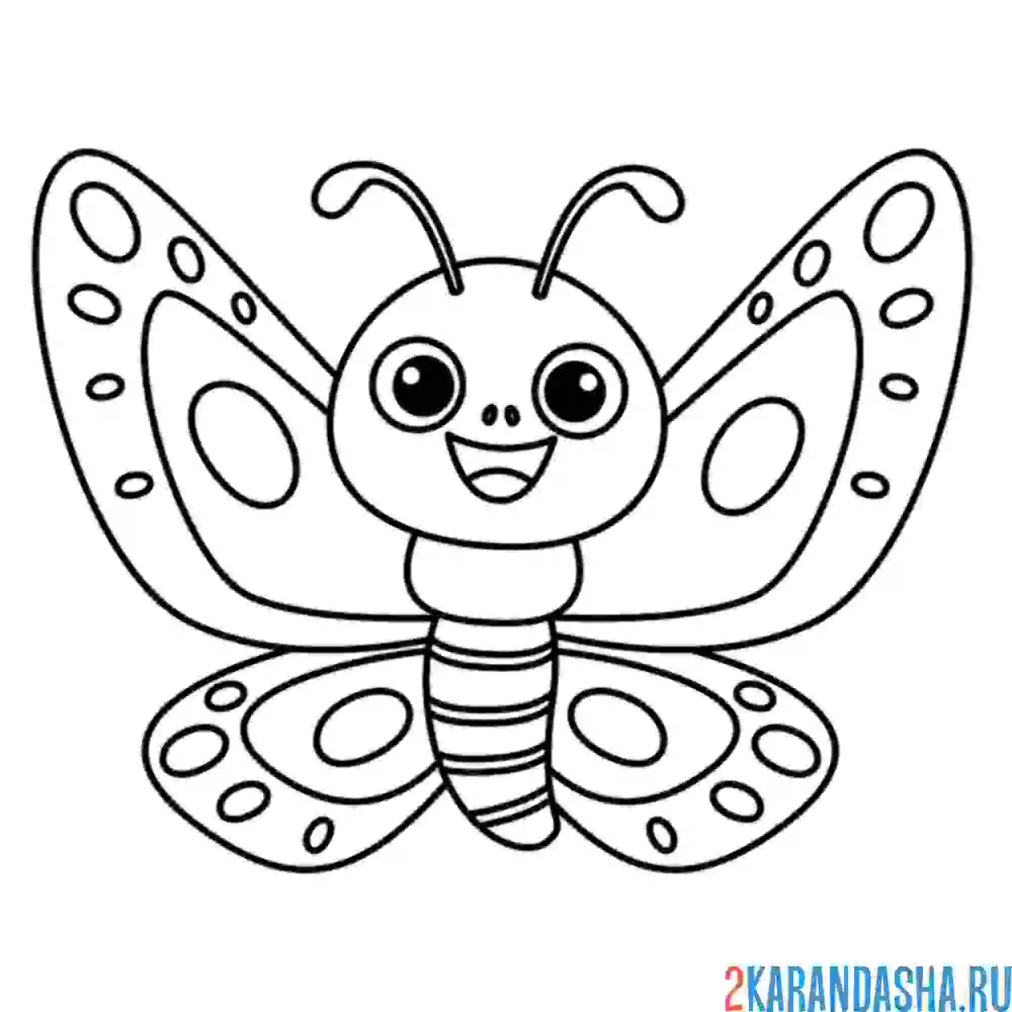 Раскраска смешная бабочка