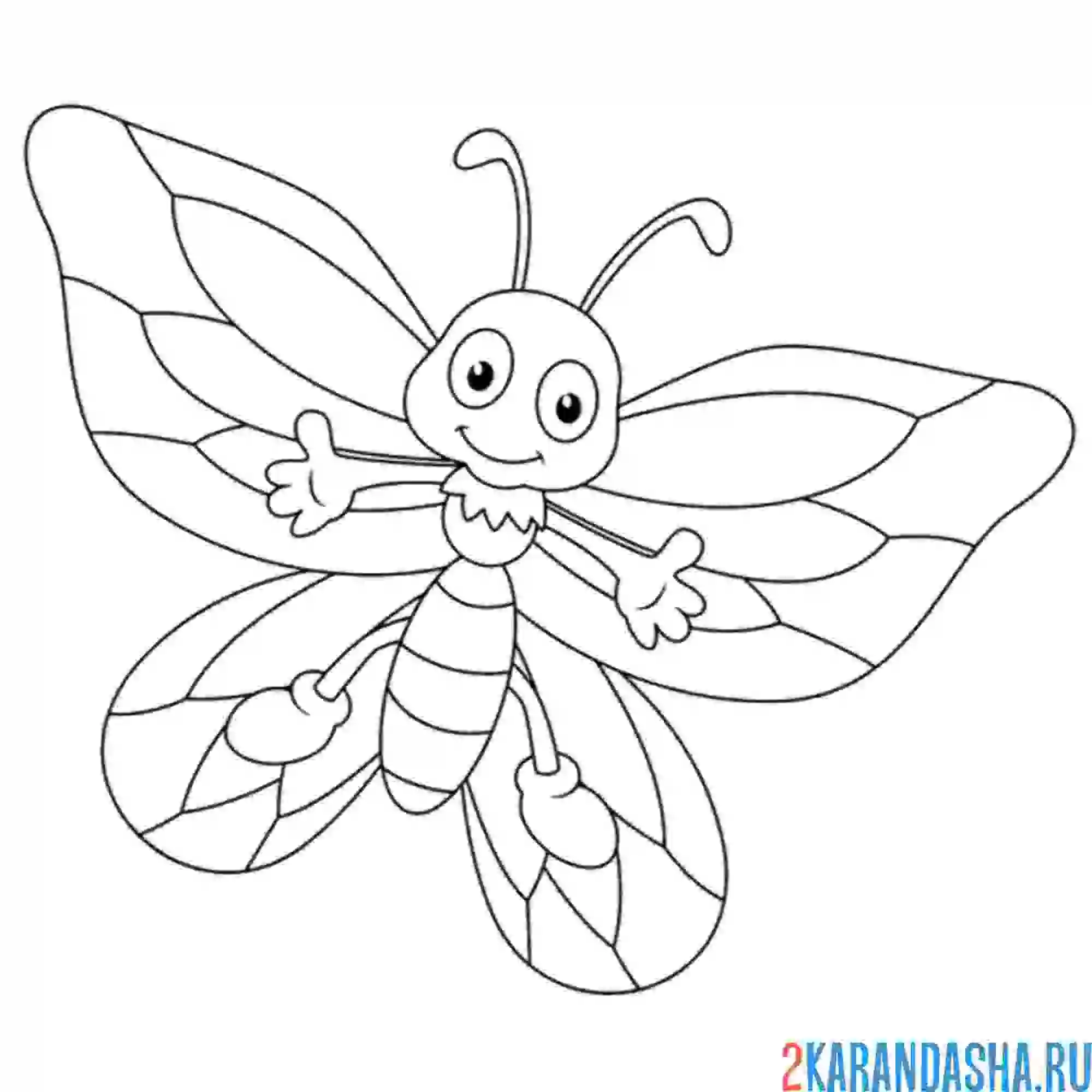 Раскраска бабочка живая