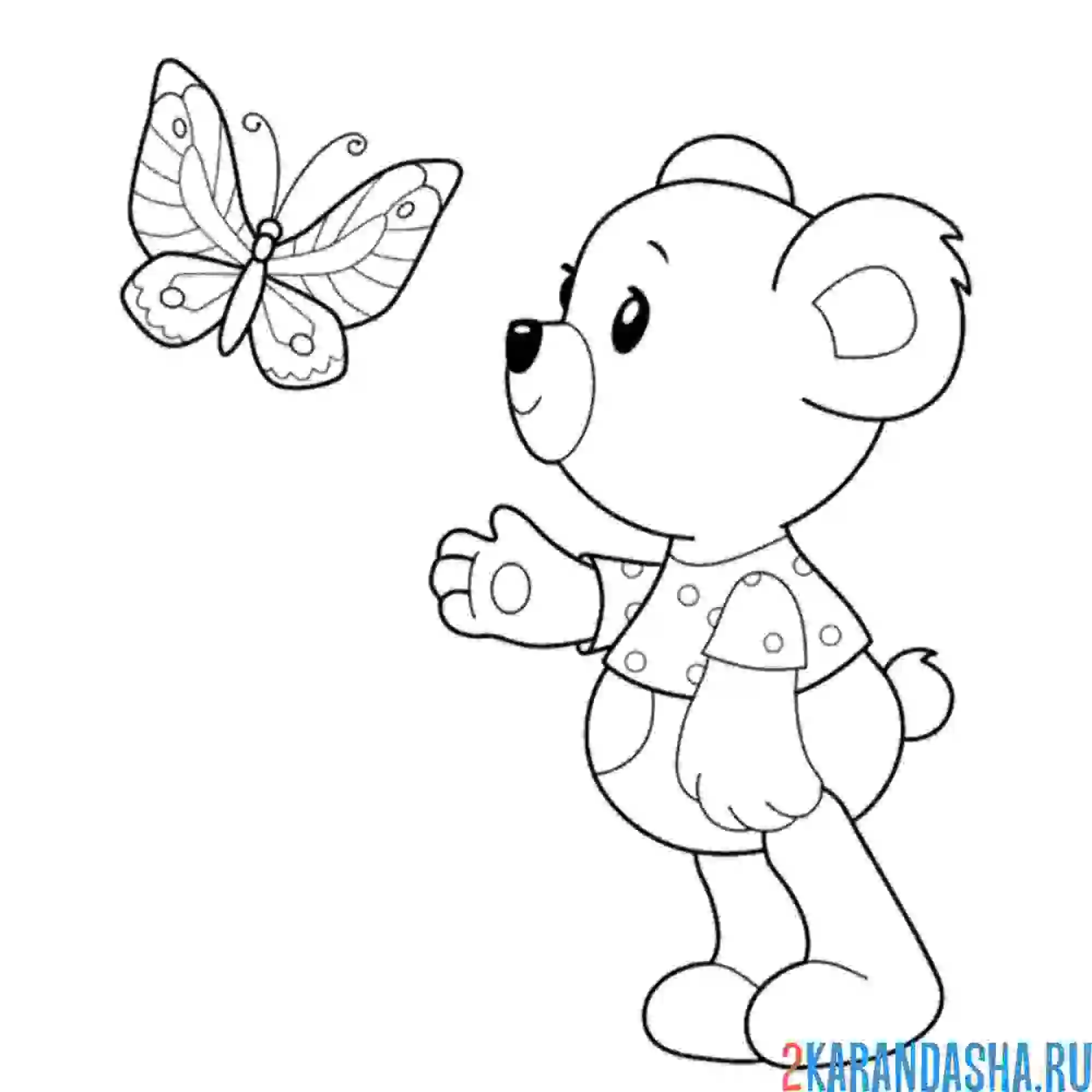 Раскраска медведь и бабочка