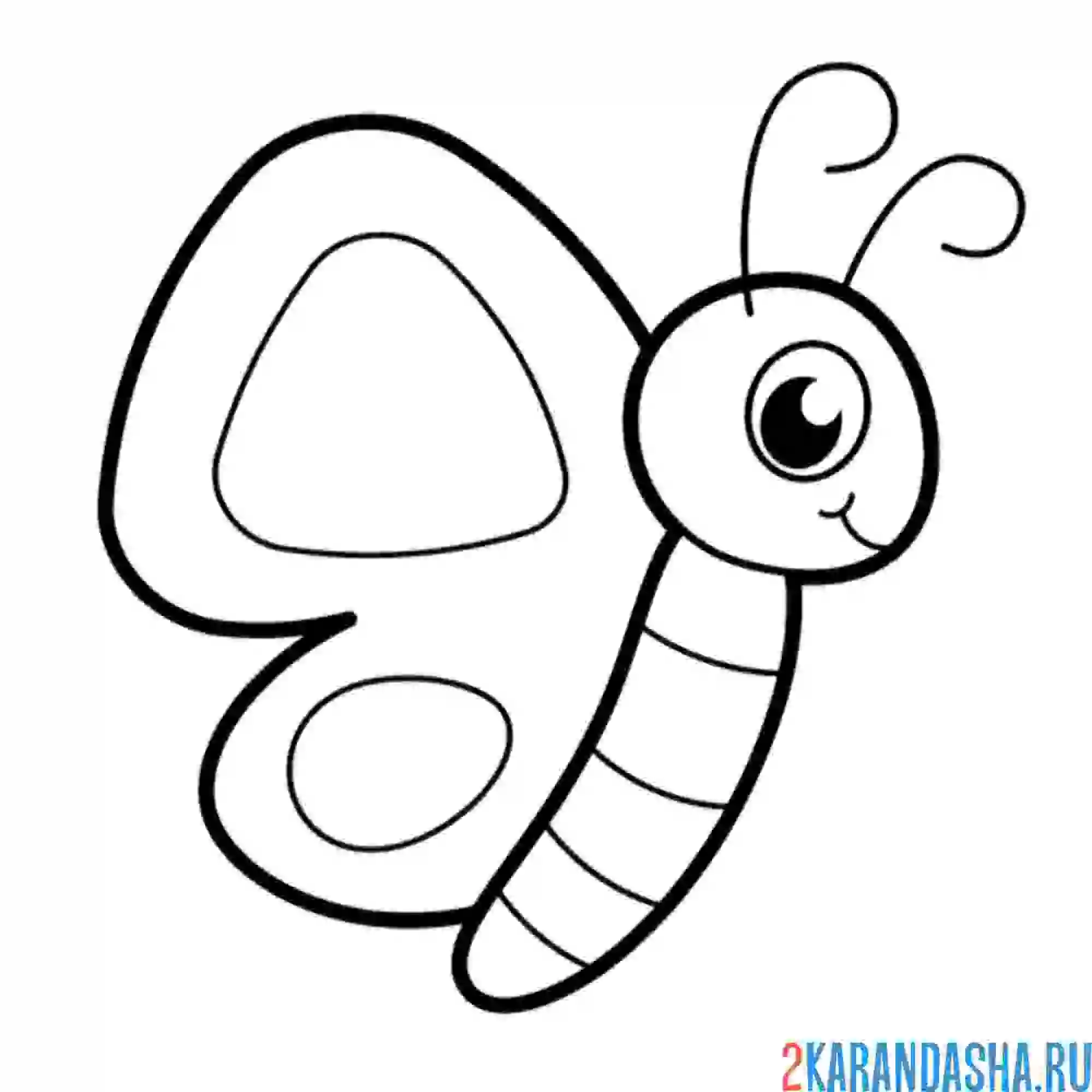 Раскраска бабочка малыши