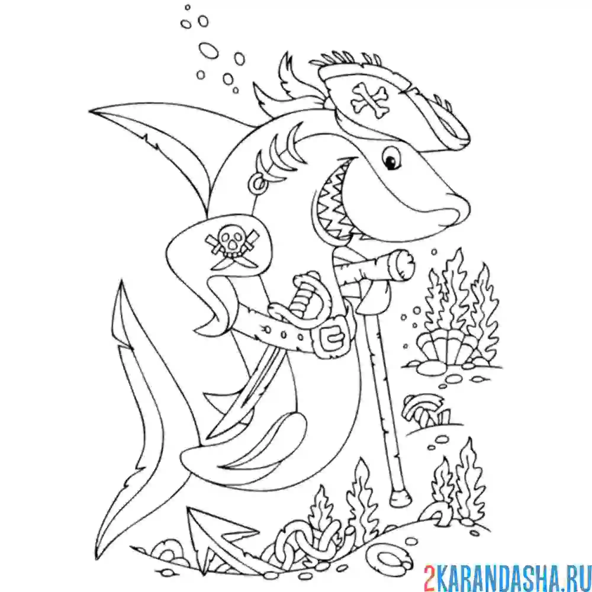 Раскраска акула-пират