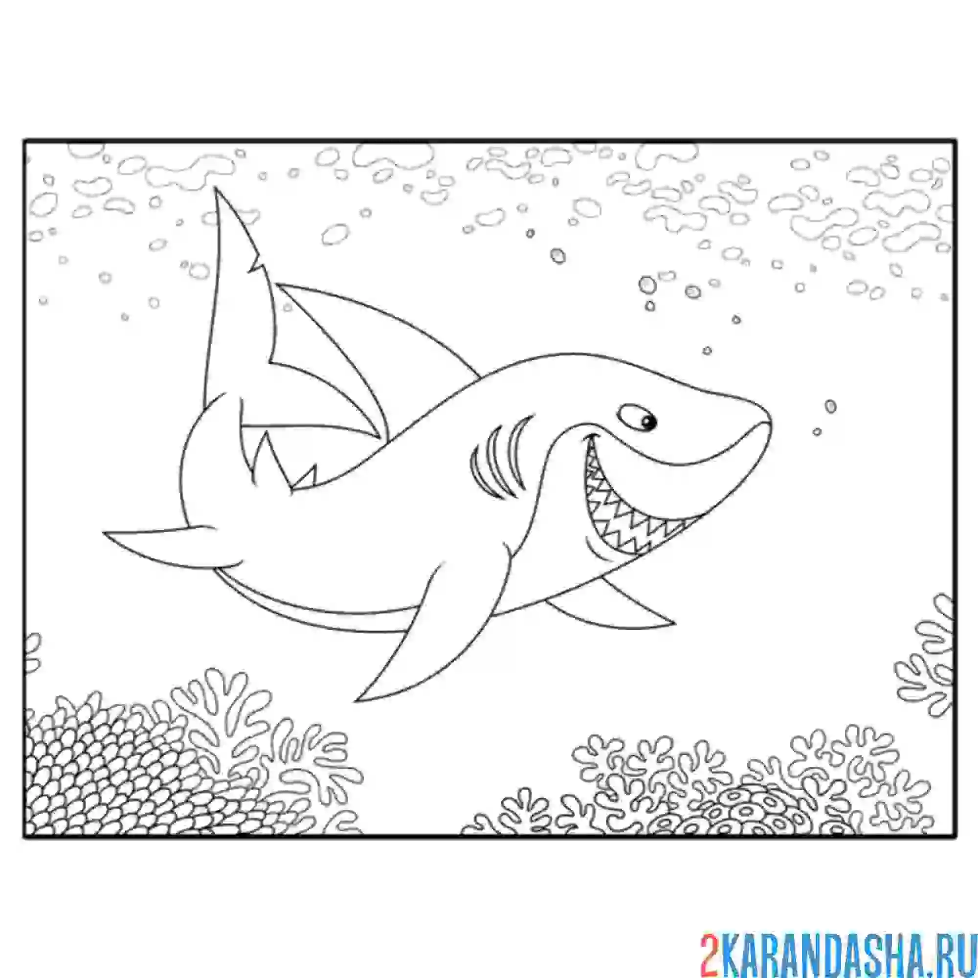 Раскраска хищная акула