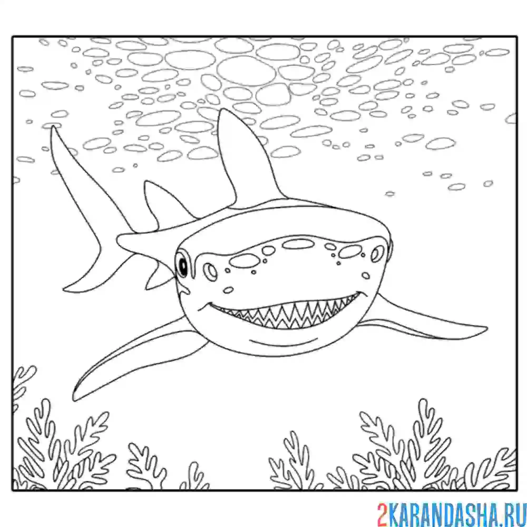 Раскраска китовая акула
