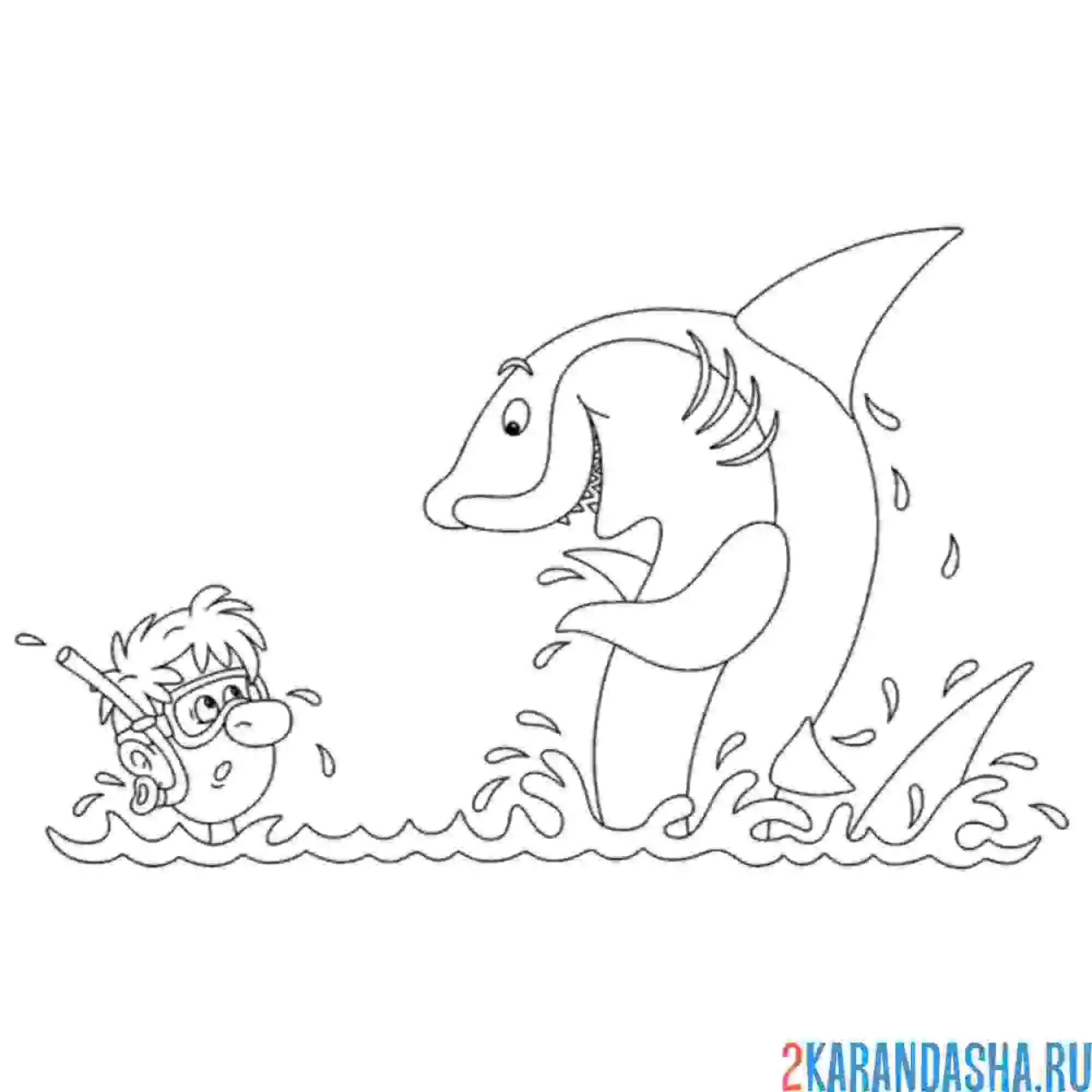 Раскраска акула напугала туриста