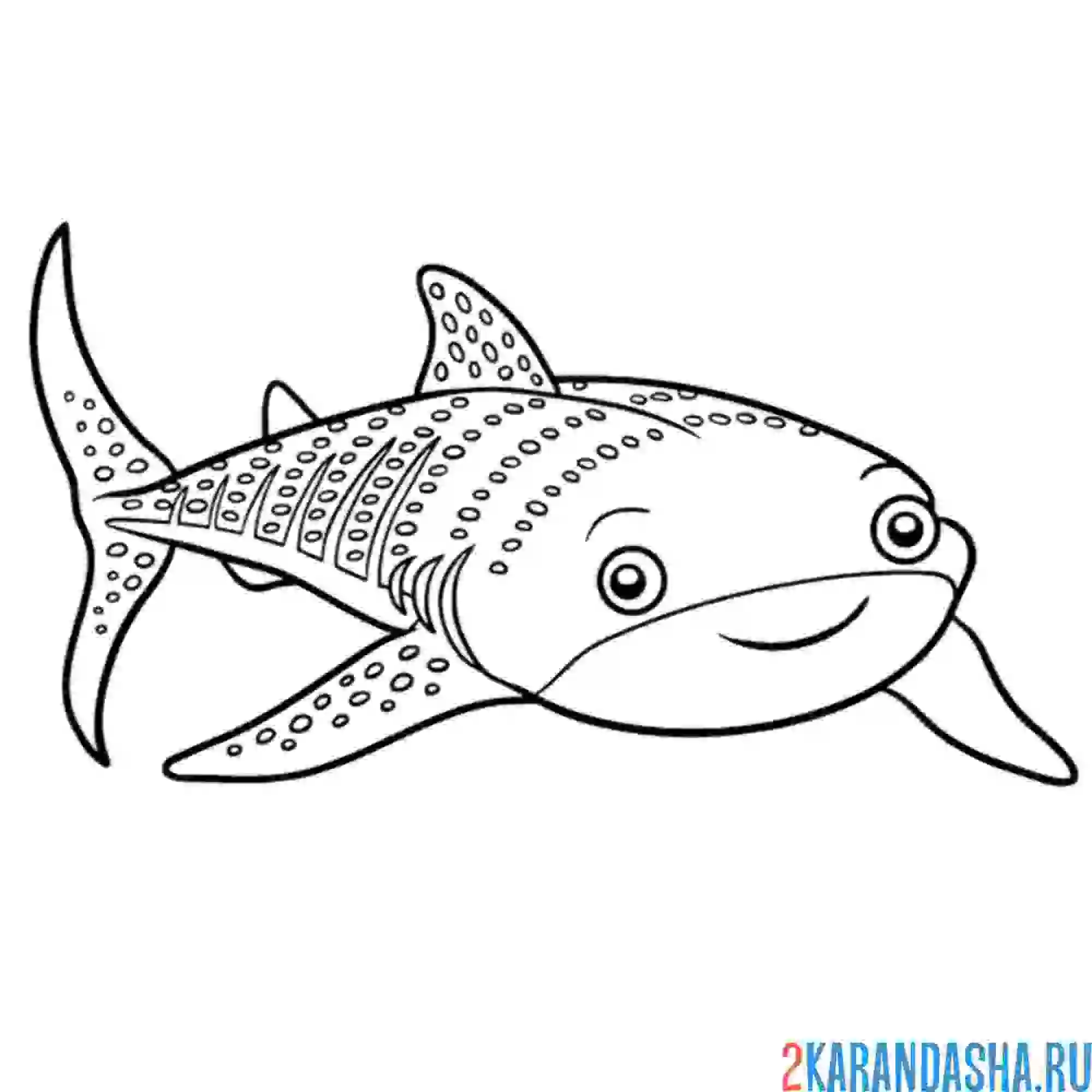 Раскраска китовая акула улыбается