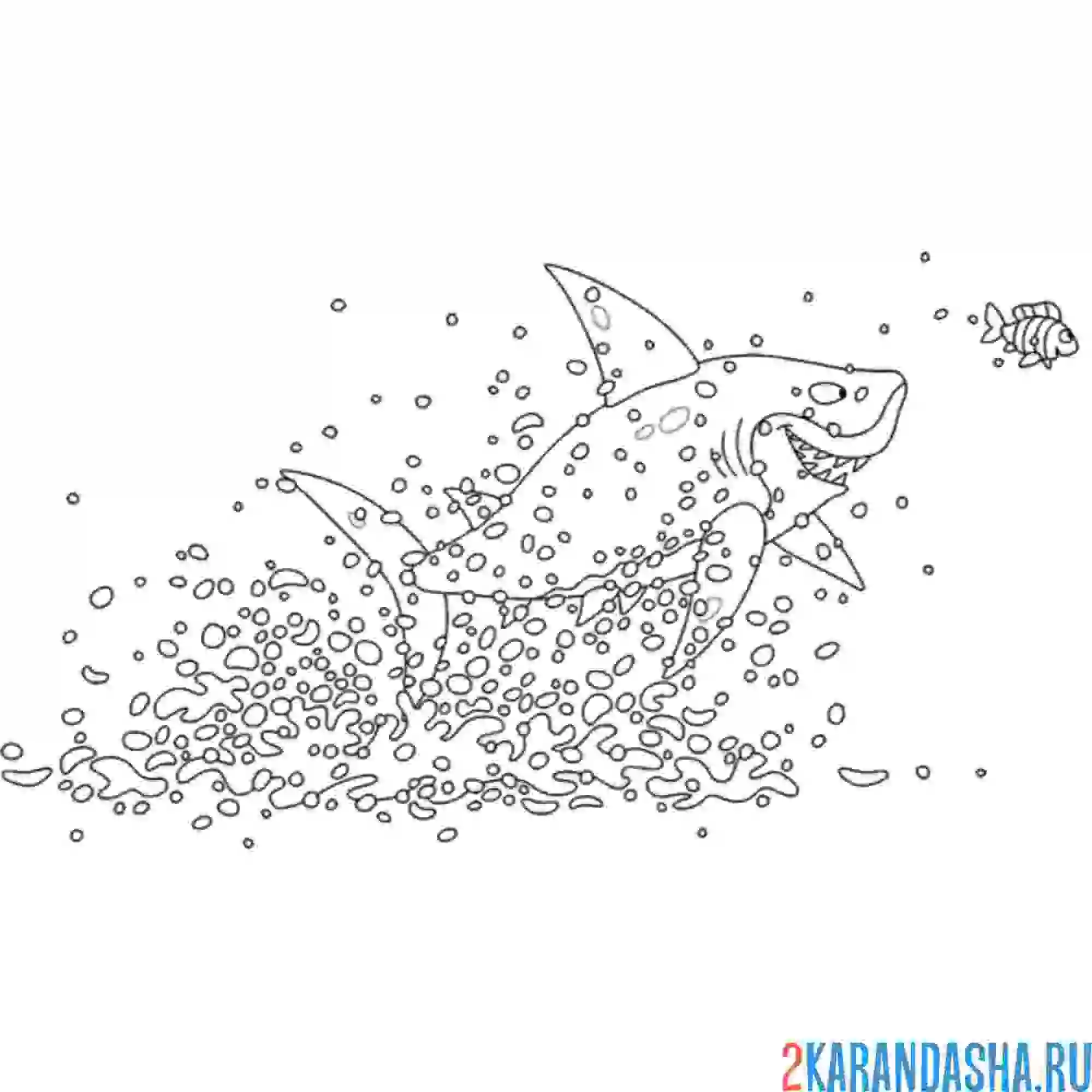 Раскраска акула охота