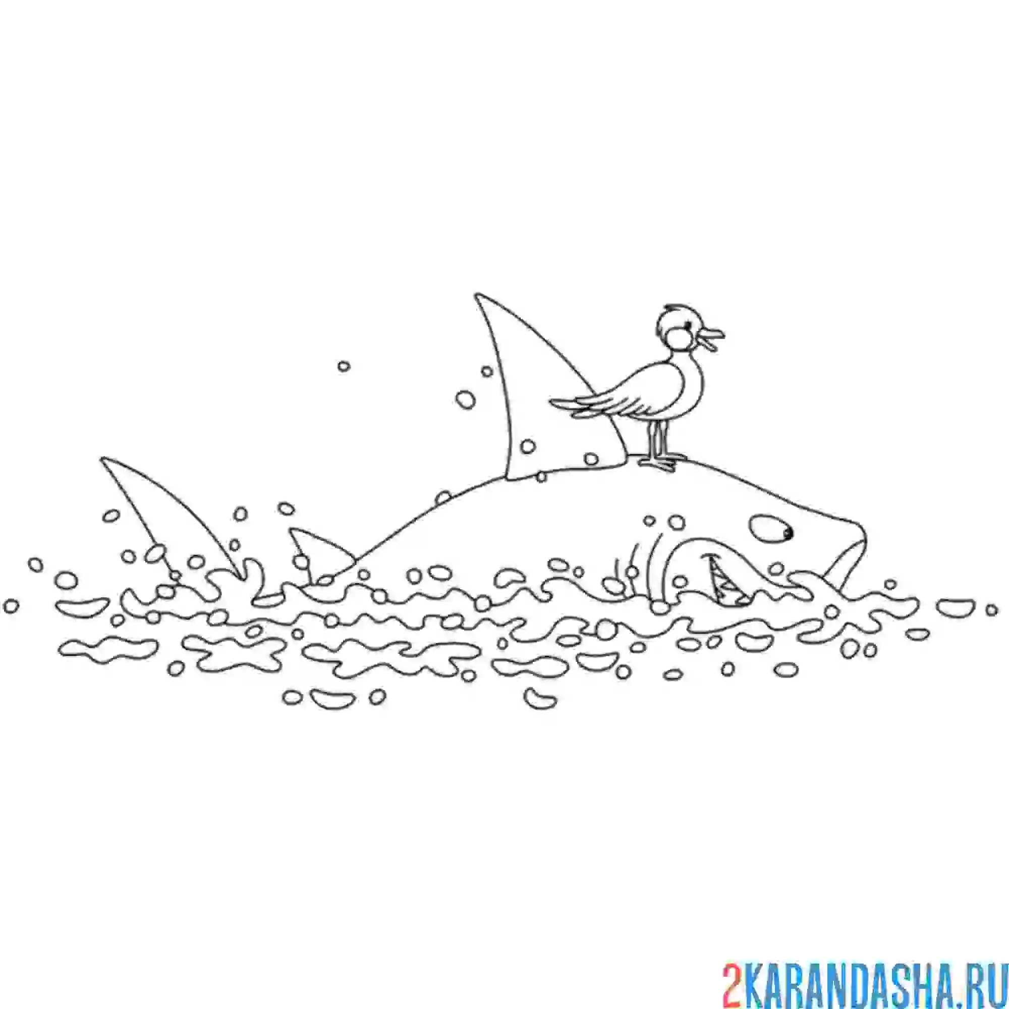 Раскраска акула и птичка