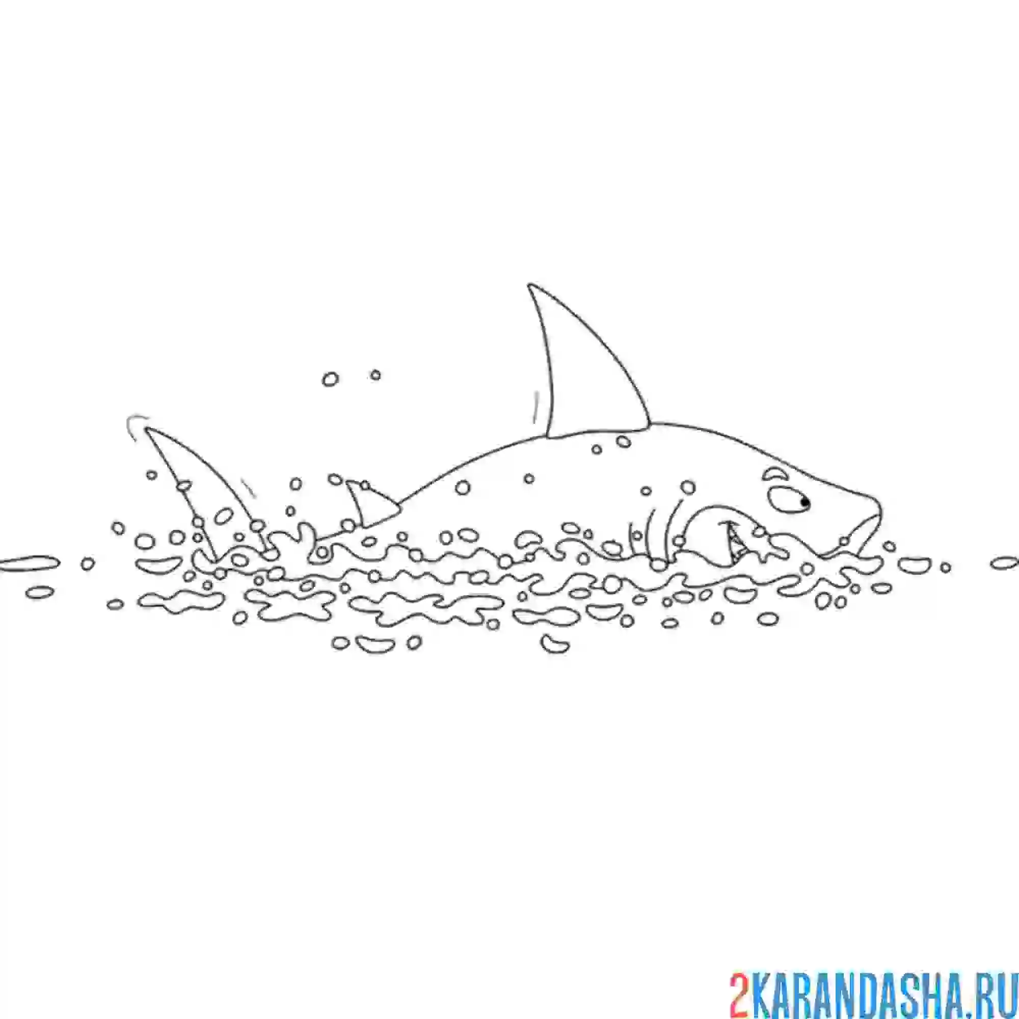 Раскраска акула над водой