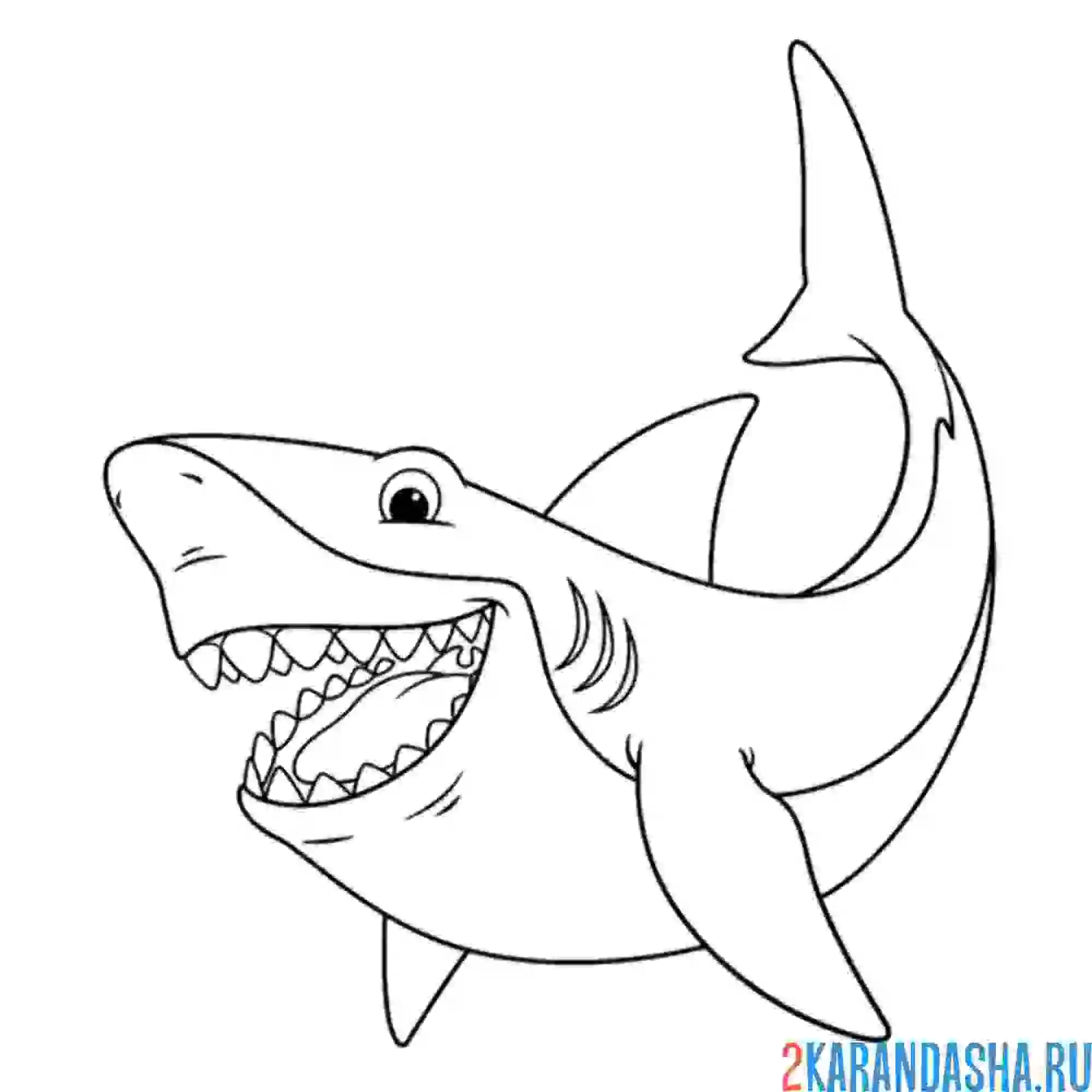 Раскраска акула без воды