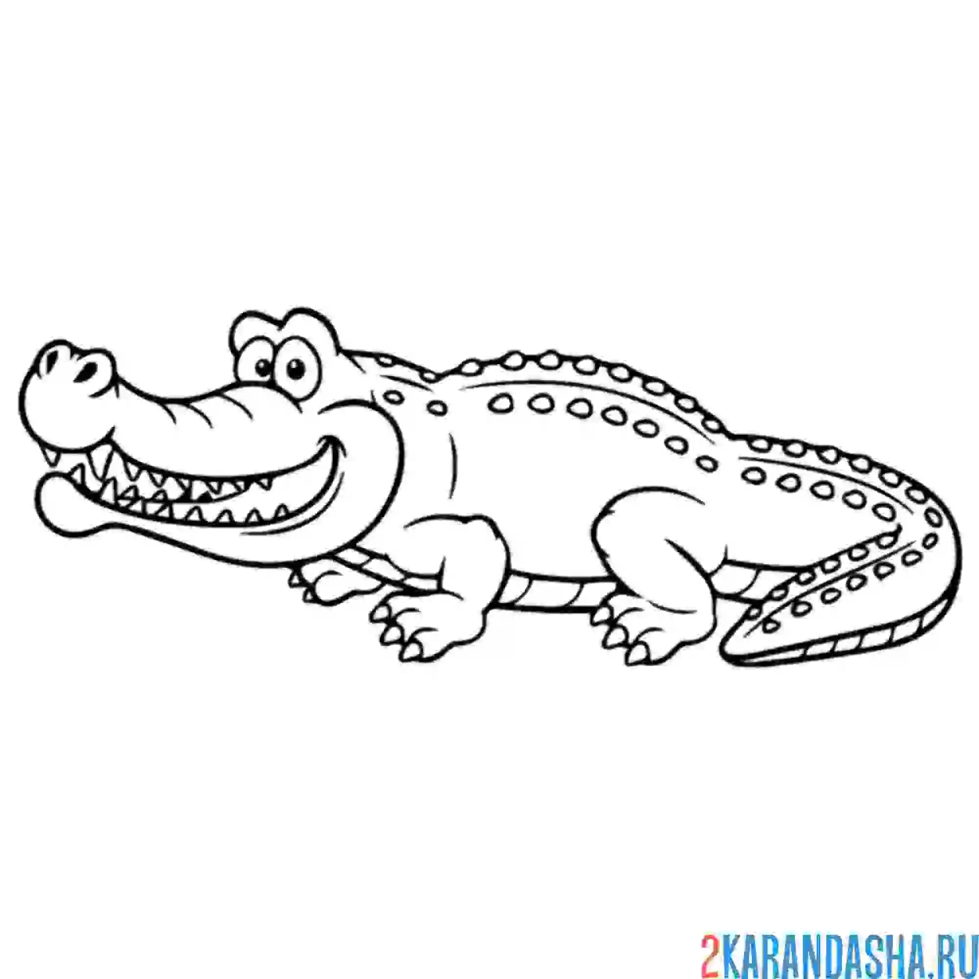 Раскраска крокодил сбоку