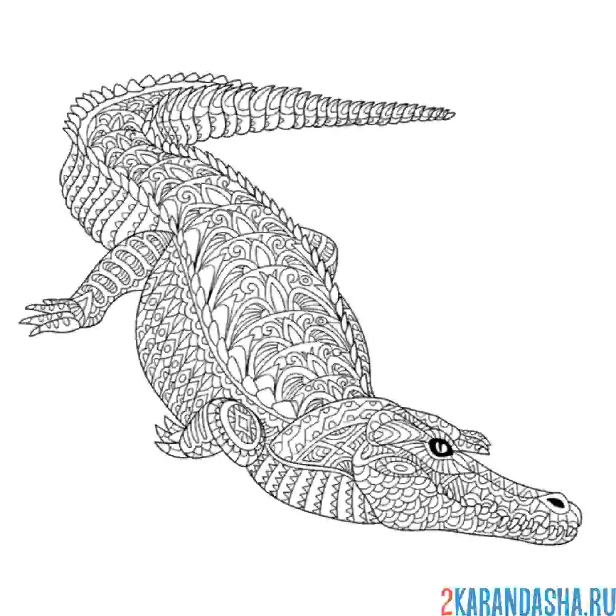 Раскраска крокодил-антистресс