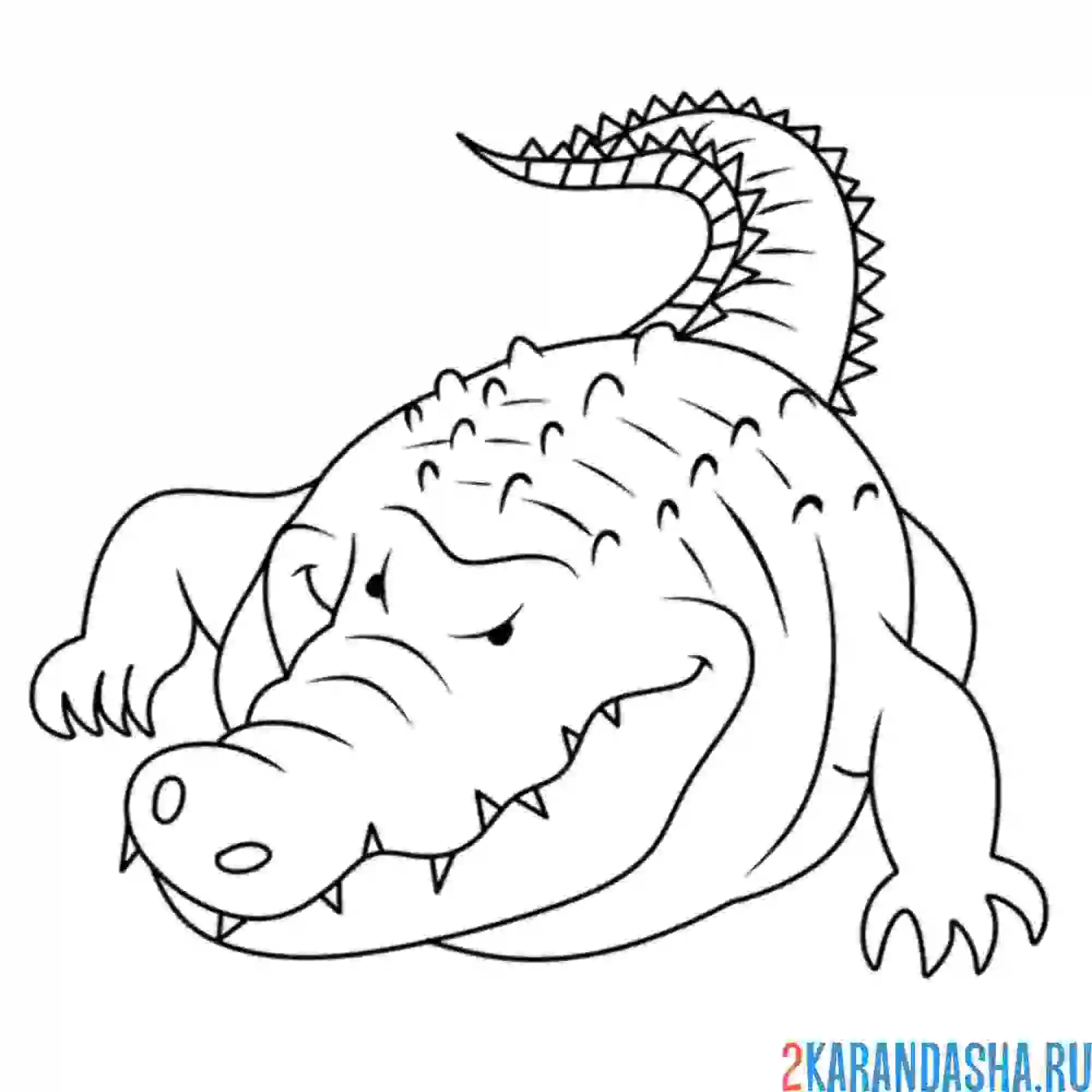 Раскраска опасный крокодил