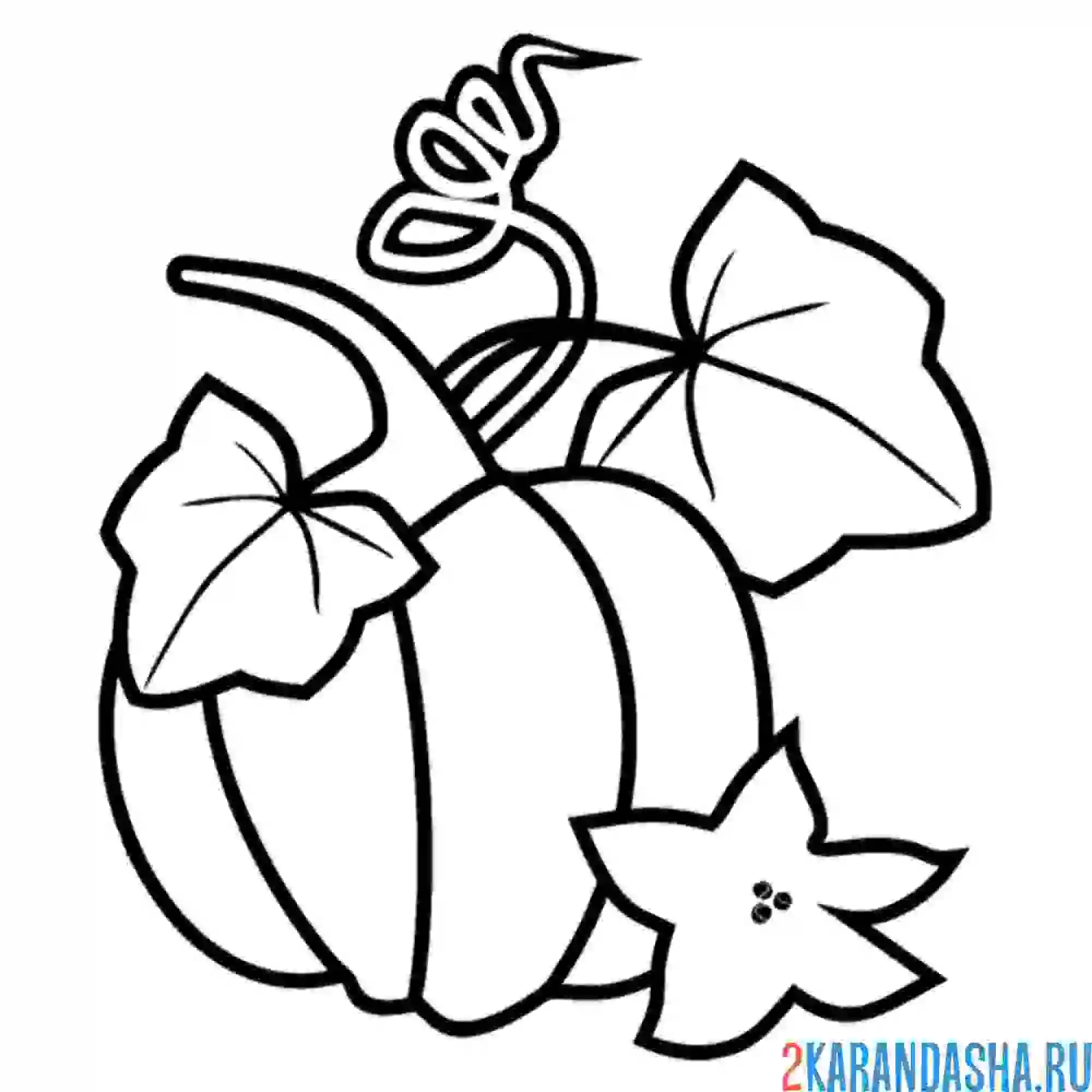 Раскраска тыква с листьями