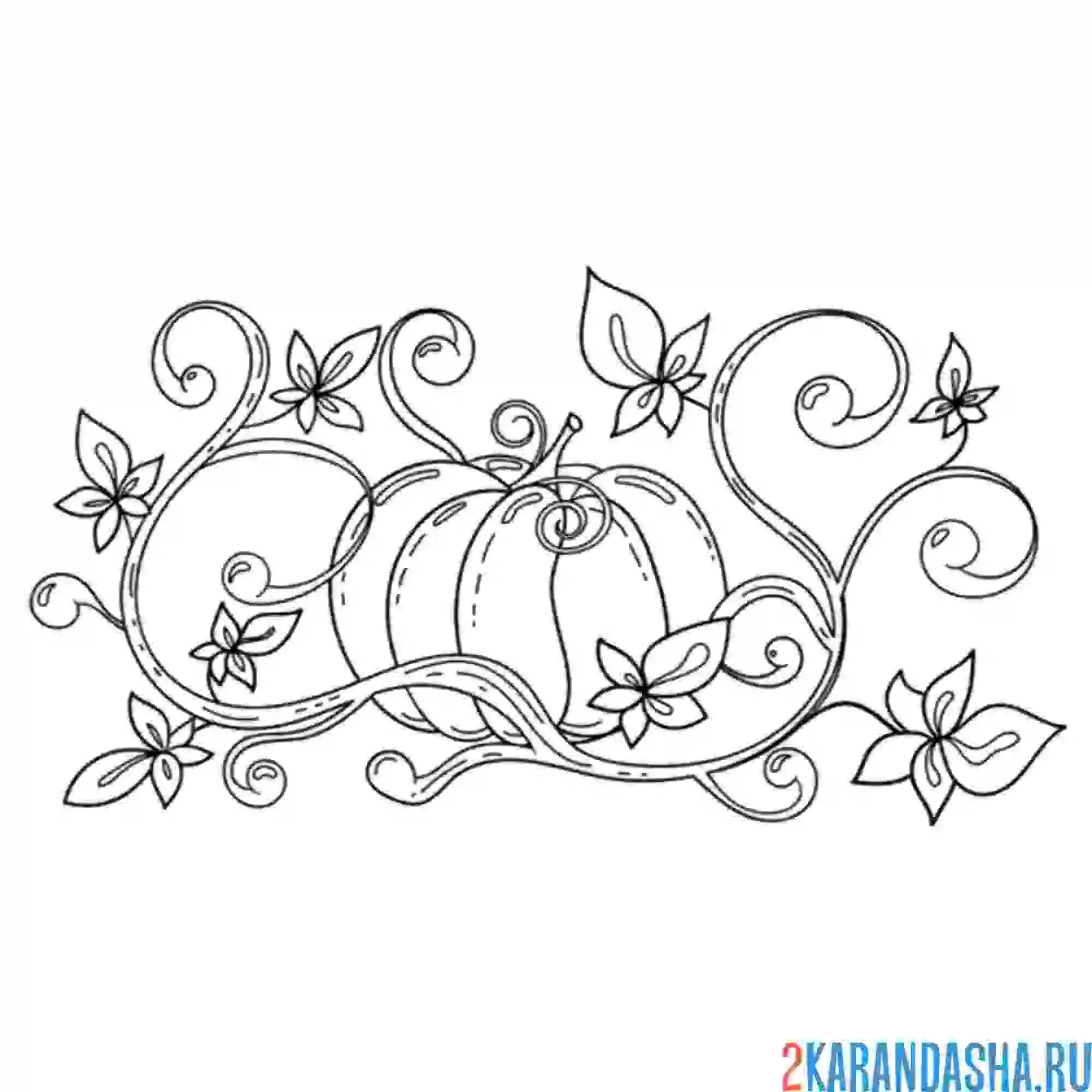 Раскраска тыква вензеля