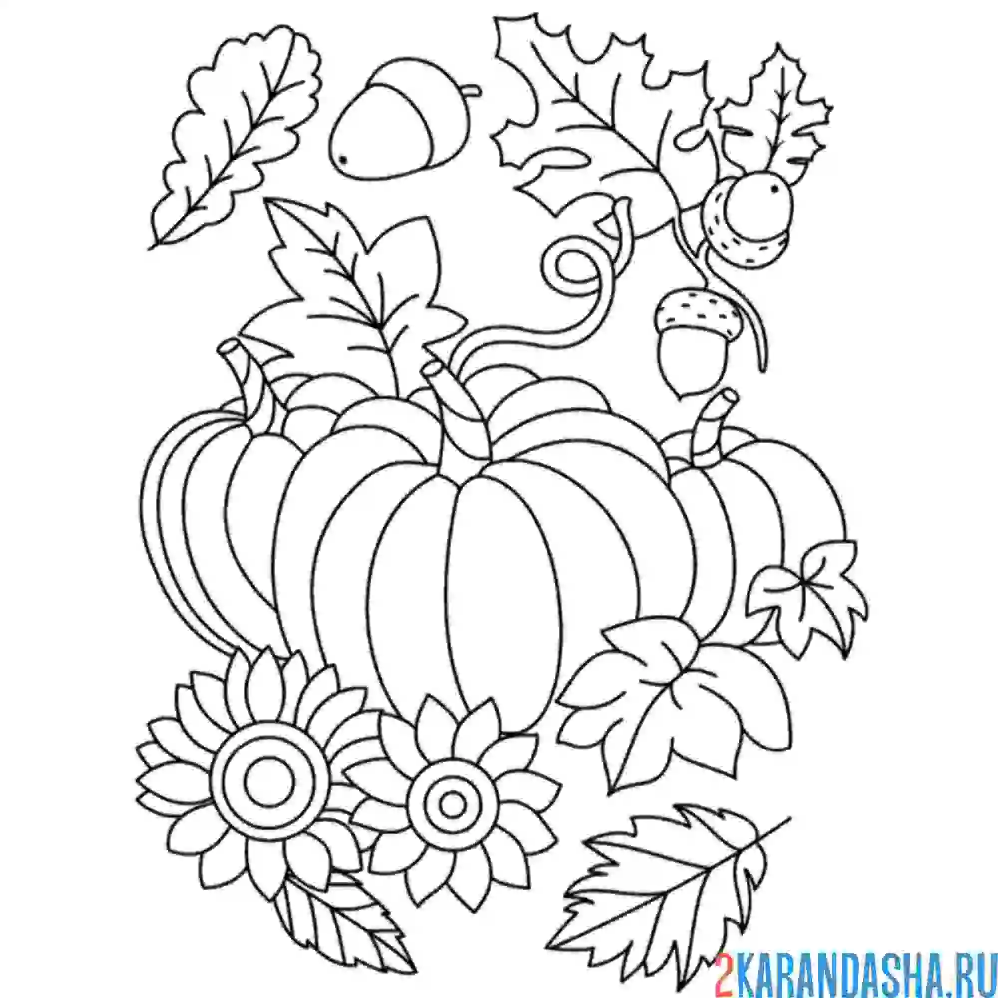 Раскраска осенняя тыква и листья