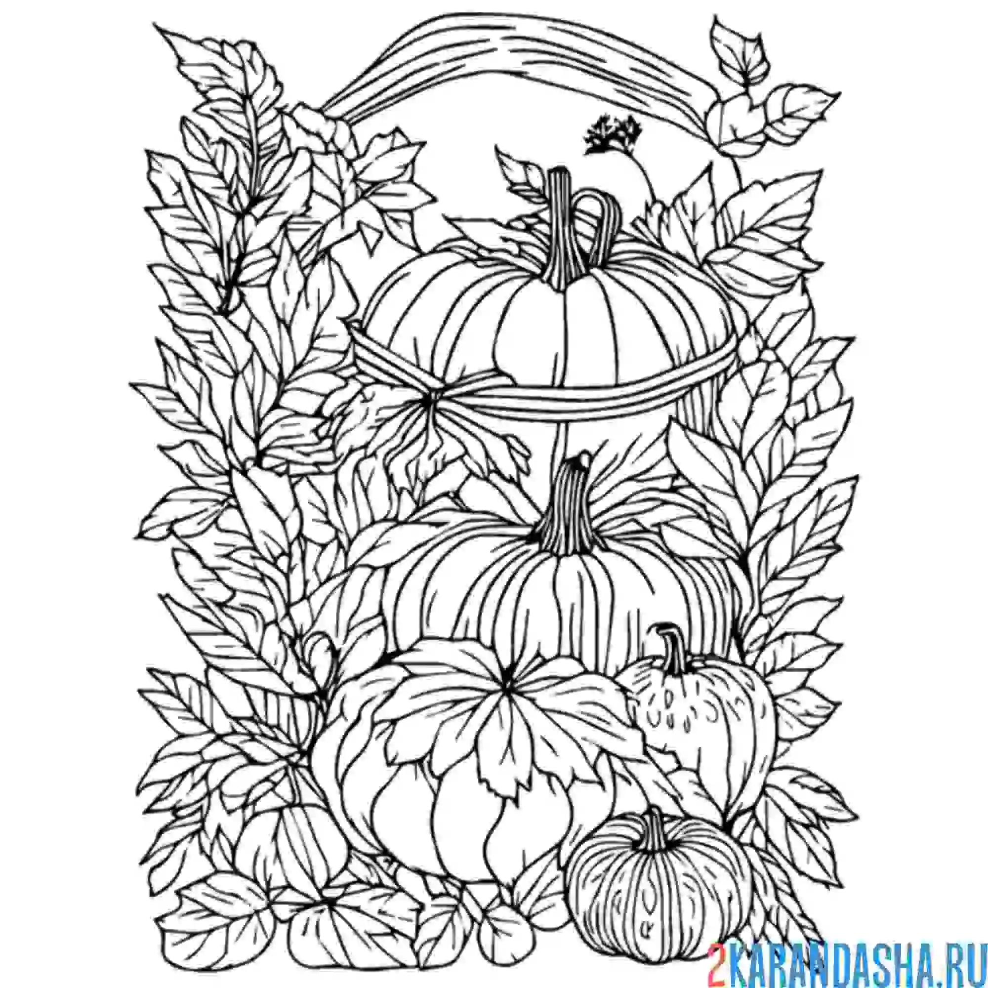 Раскраска тыквенный арт