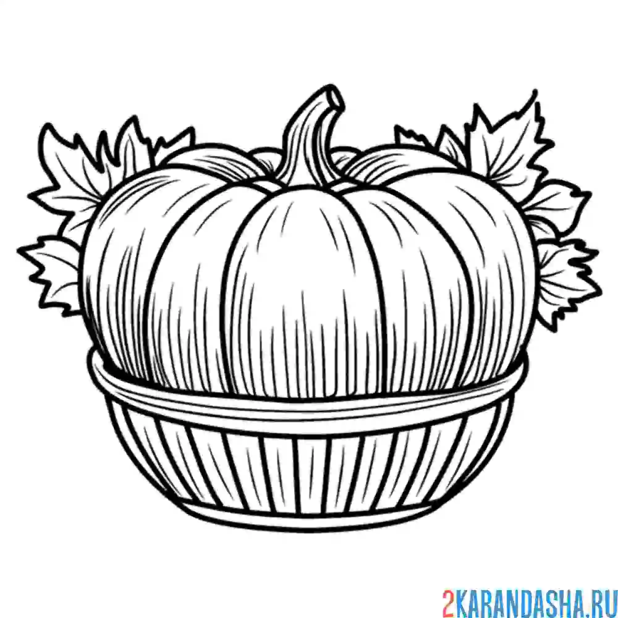 Раскраска тыква в тарелке