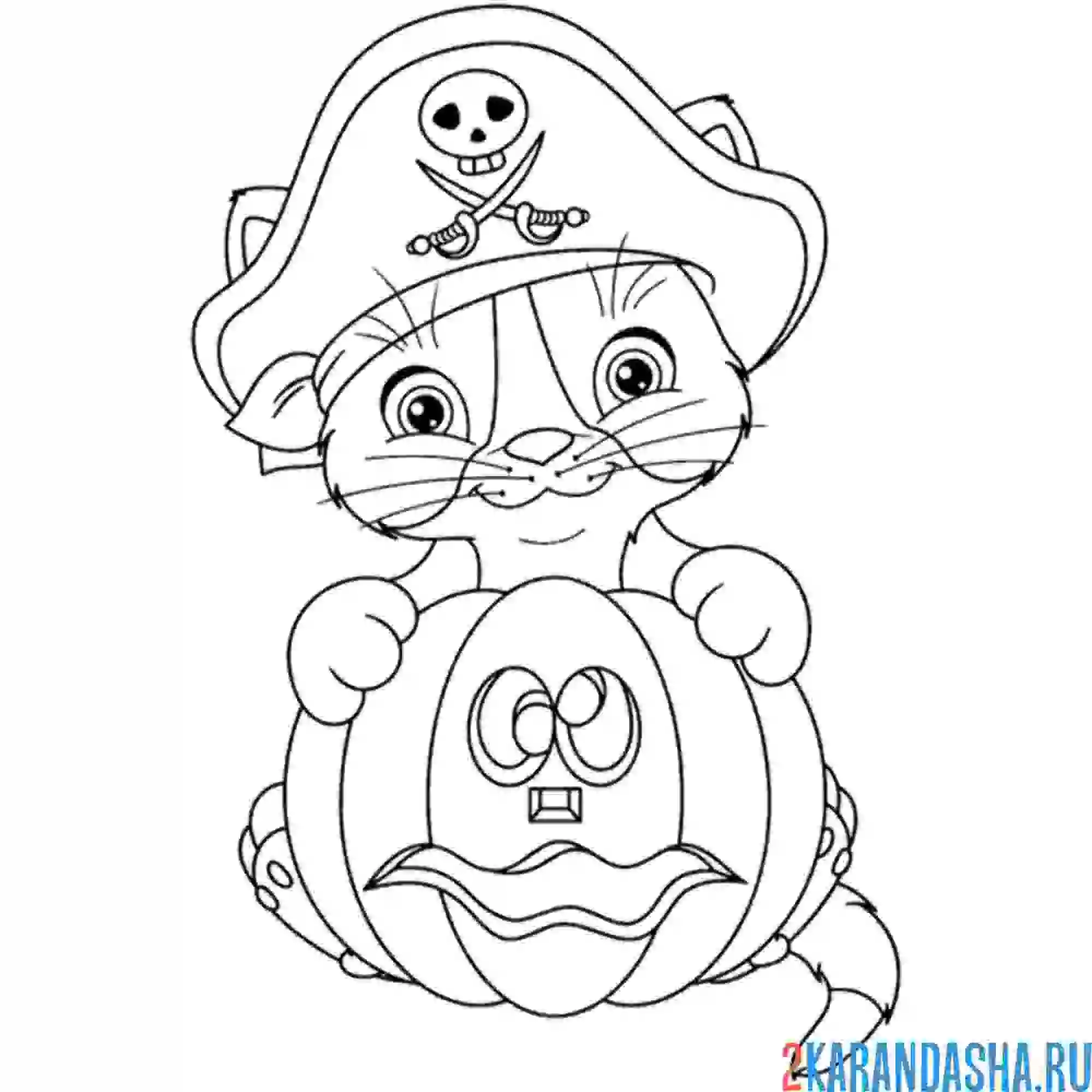 Раскраска котик-пират тыква