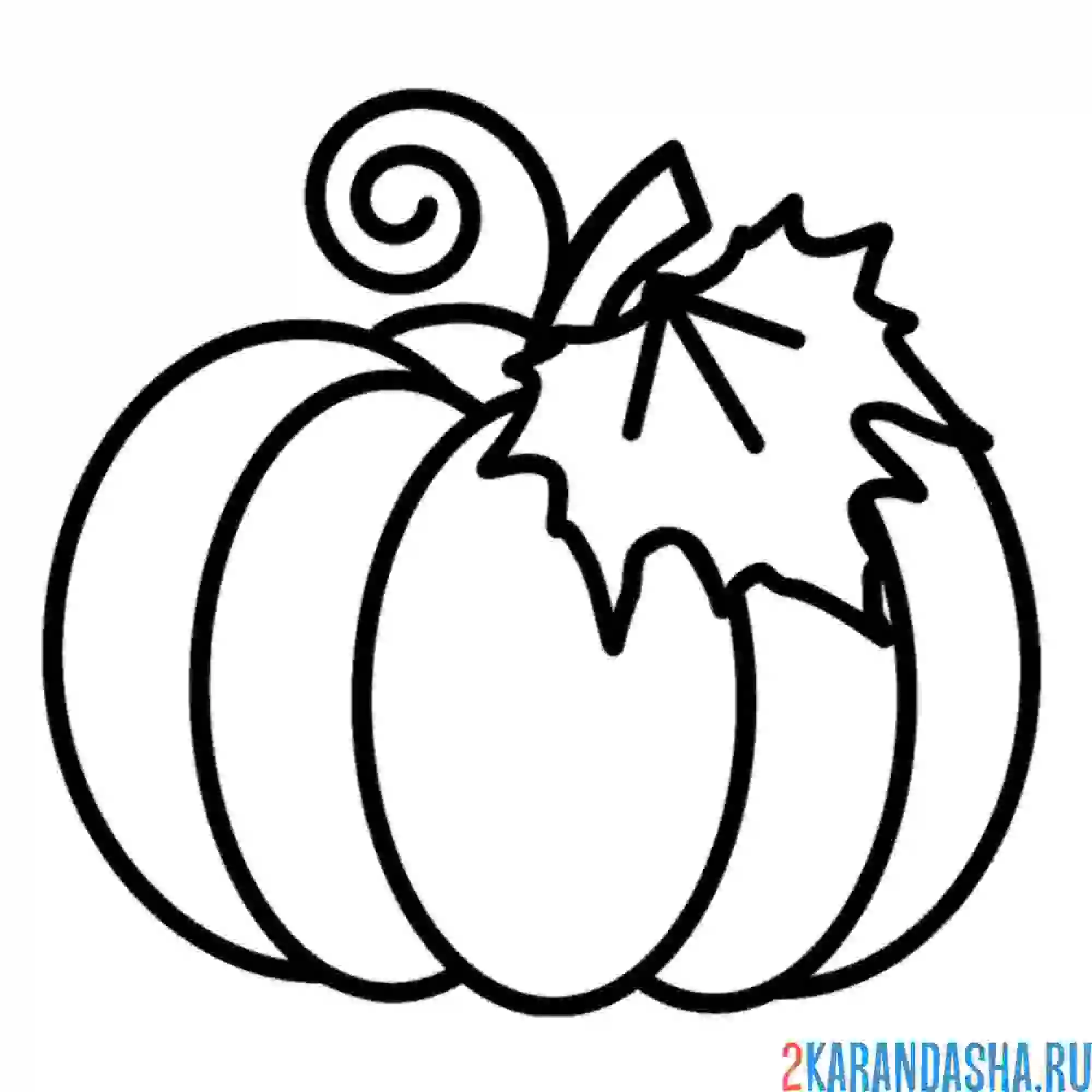 Раскраска настоящая тыква