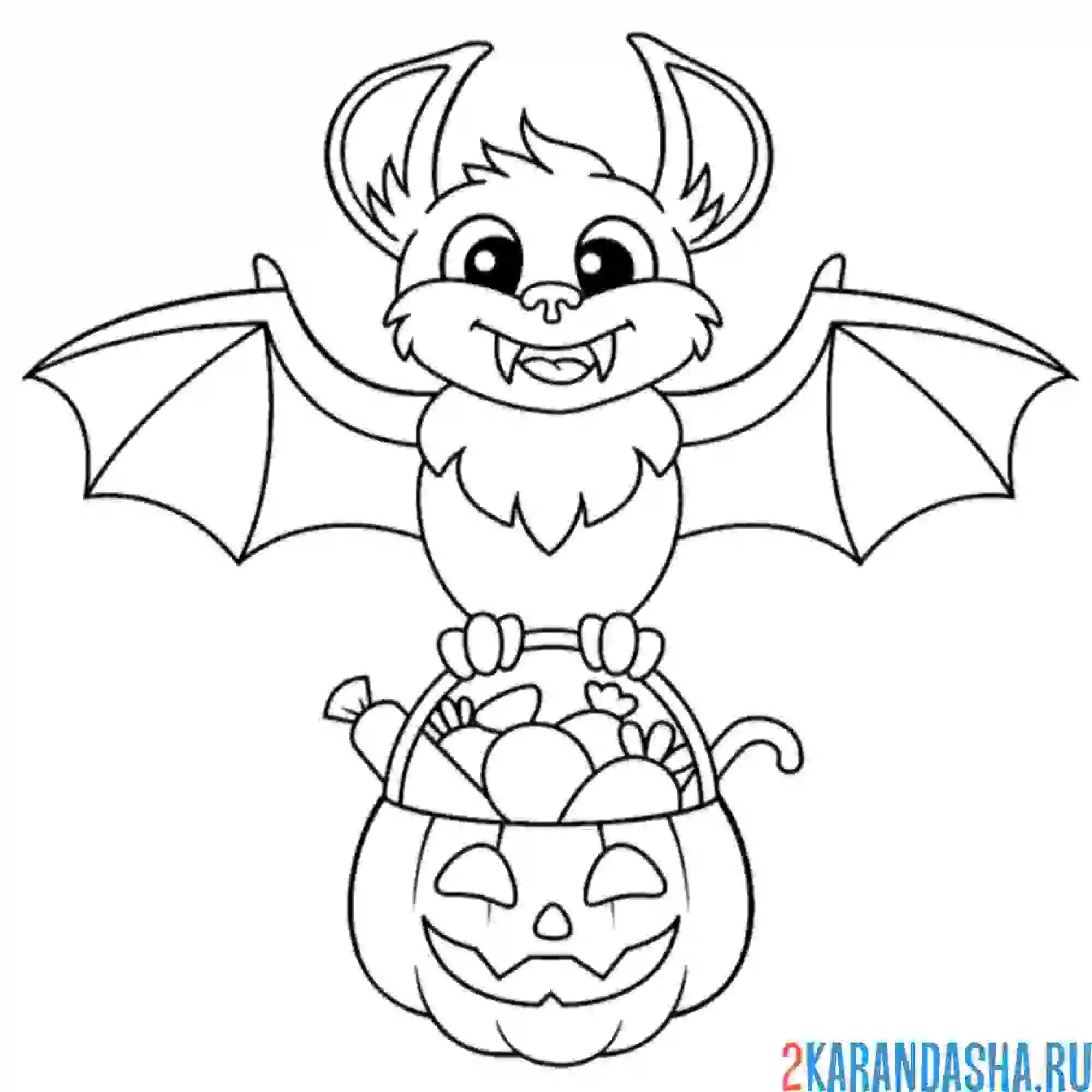 Раскраска летучая мышь с тыквой