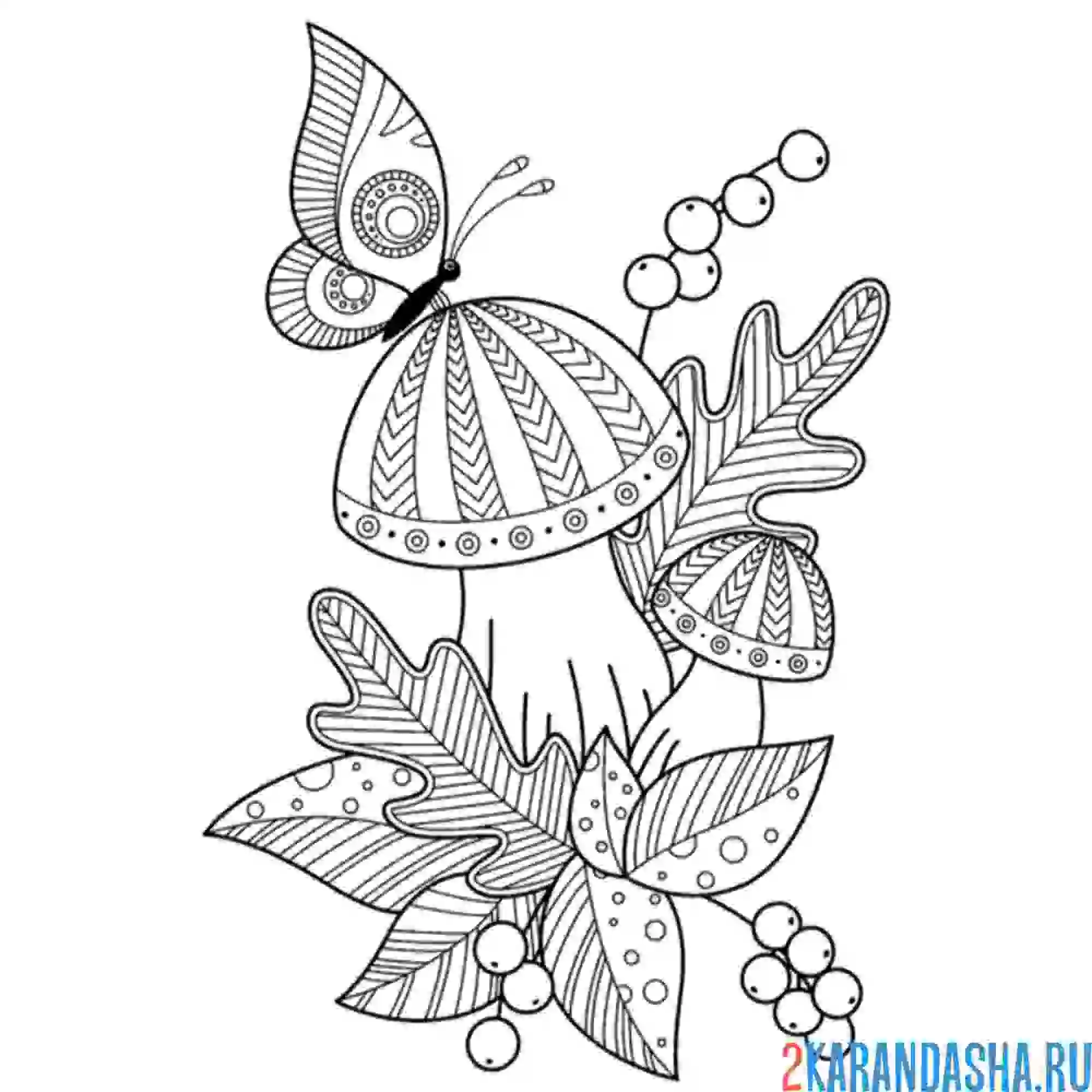 Раскраска осень бабочка