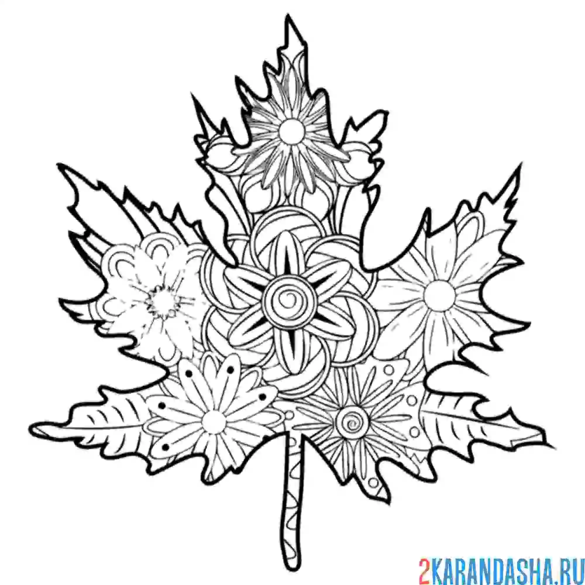 Раскраска лист кленовый антистресс