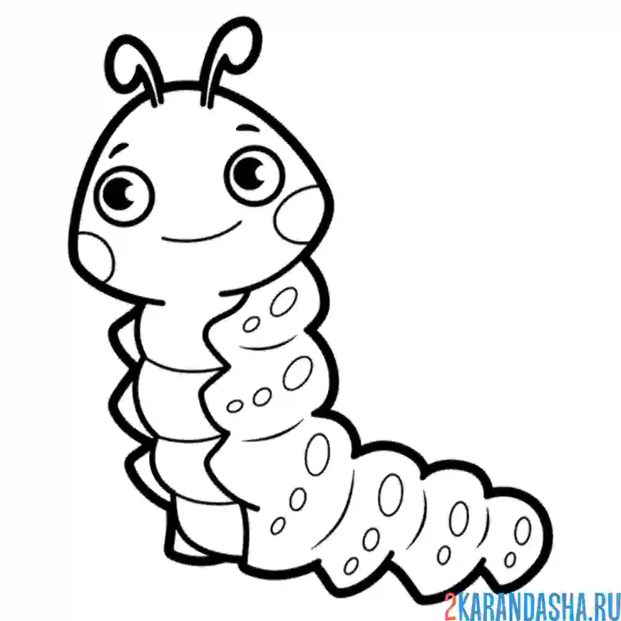 Раскраска большая гусеница