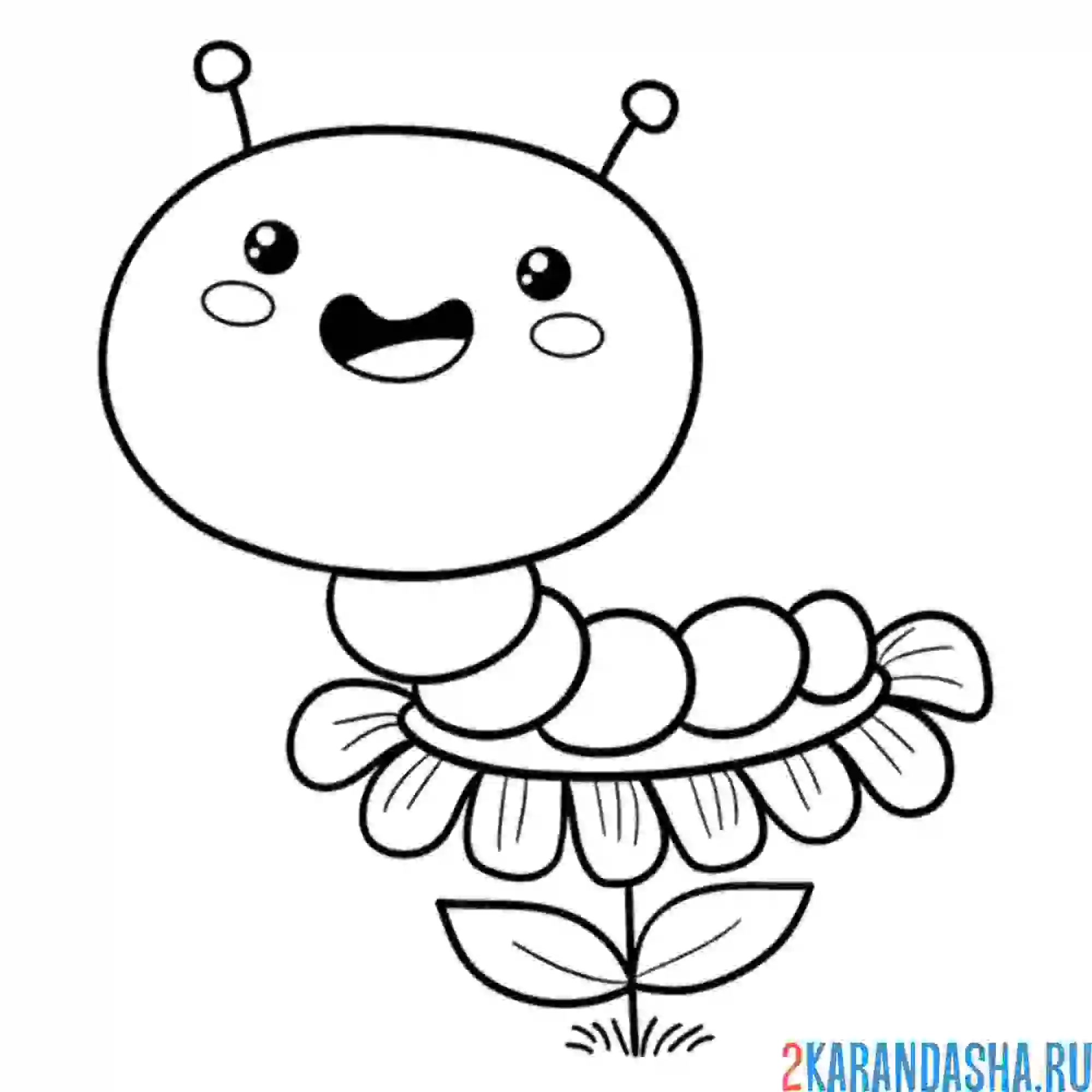 Раскраска гусеница на ромашке