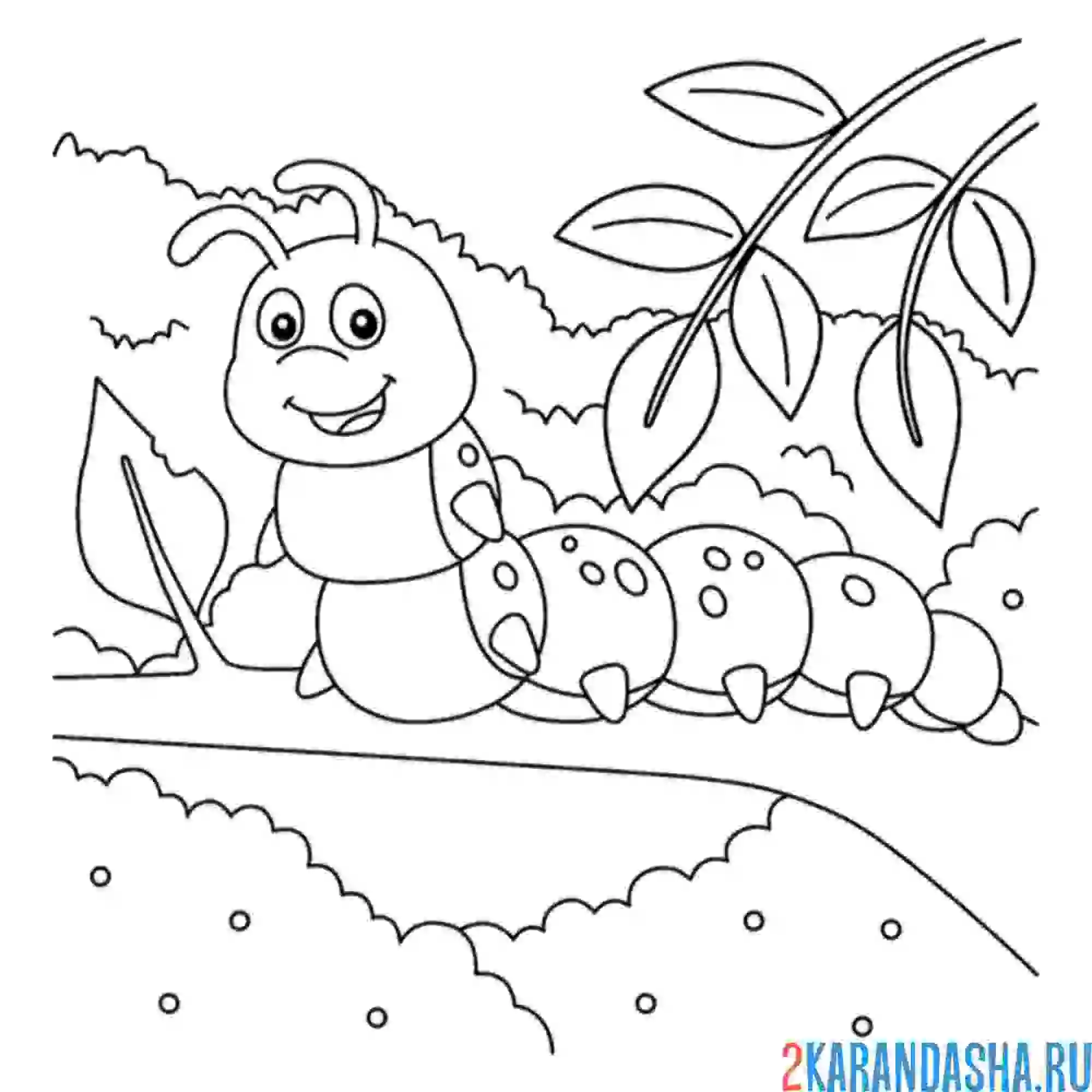 Раскраска гусеница в лесу