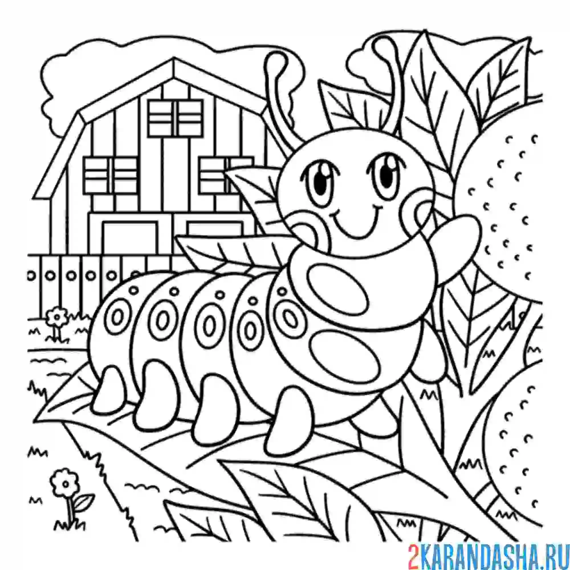 Раскраска дом гусеницы