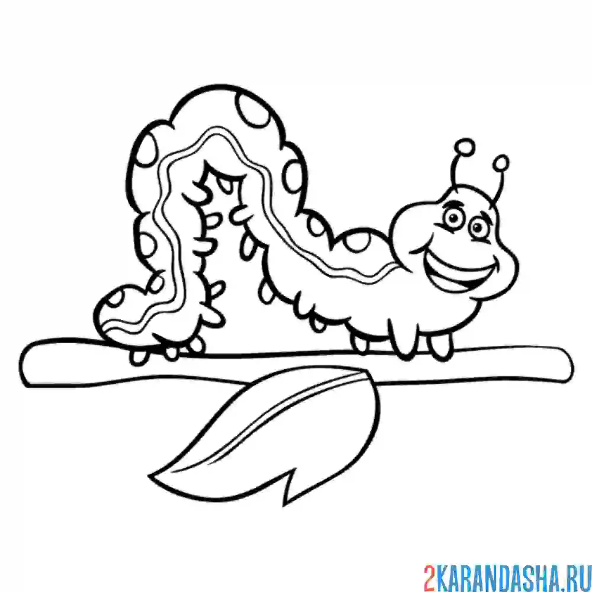 Раскраска гусеница на ветке