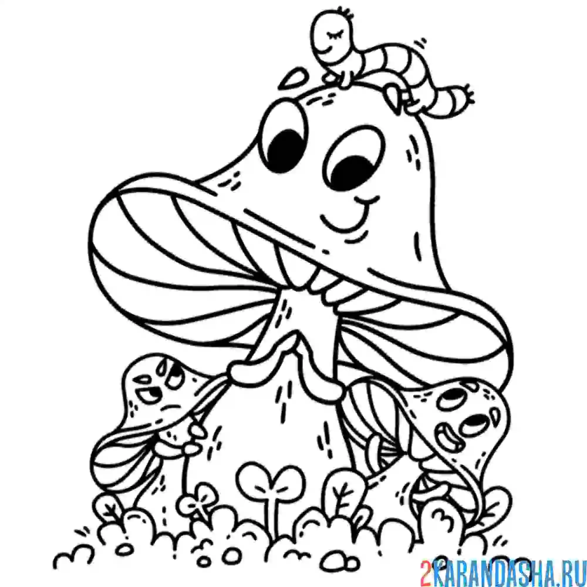 Раскраска гусеница на живом грибе