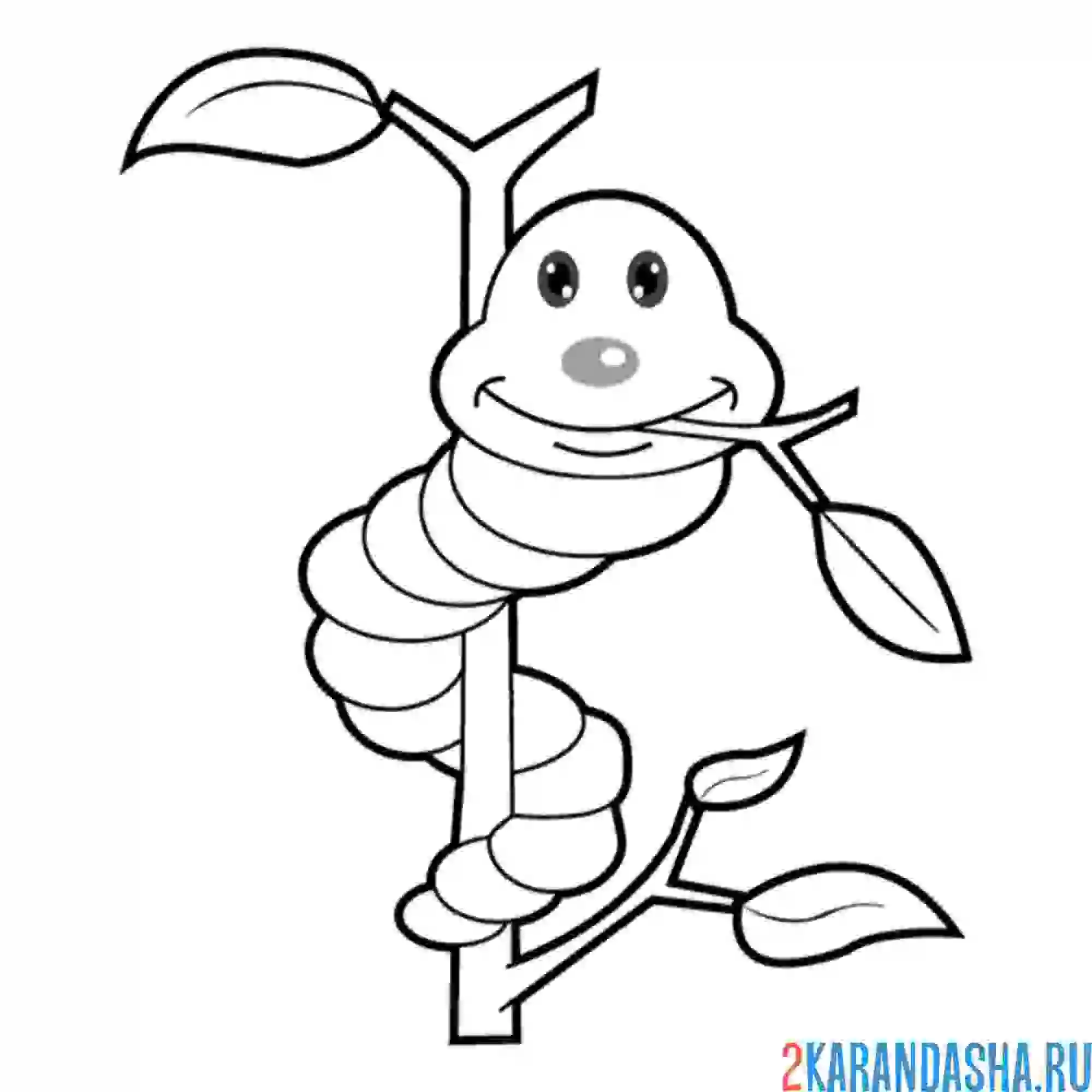 Раскраска гусеница ползет по ветке