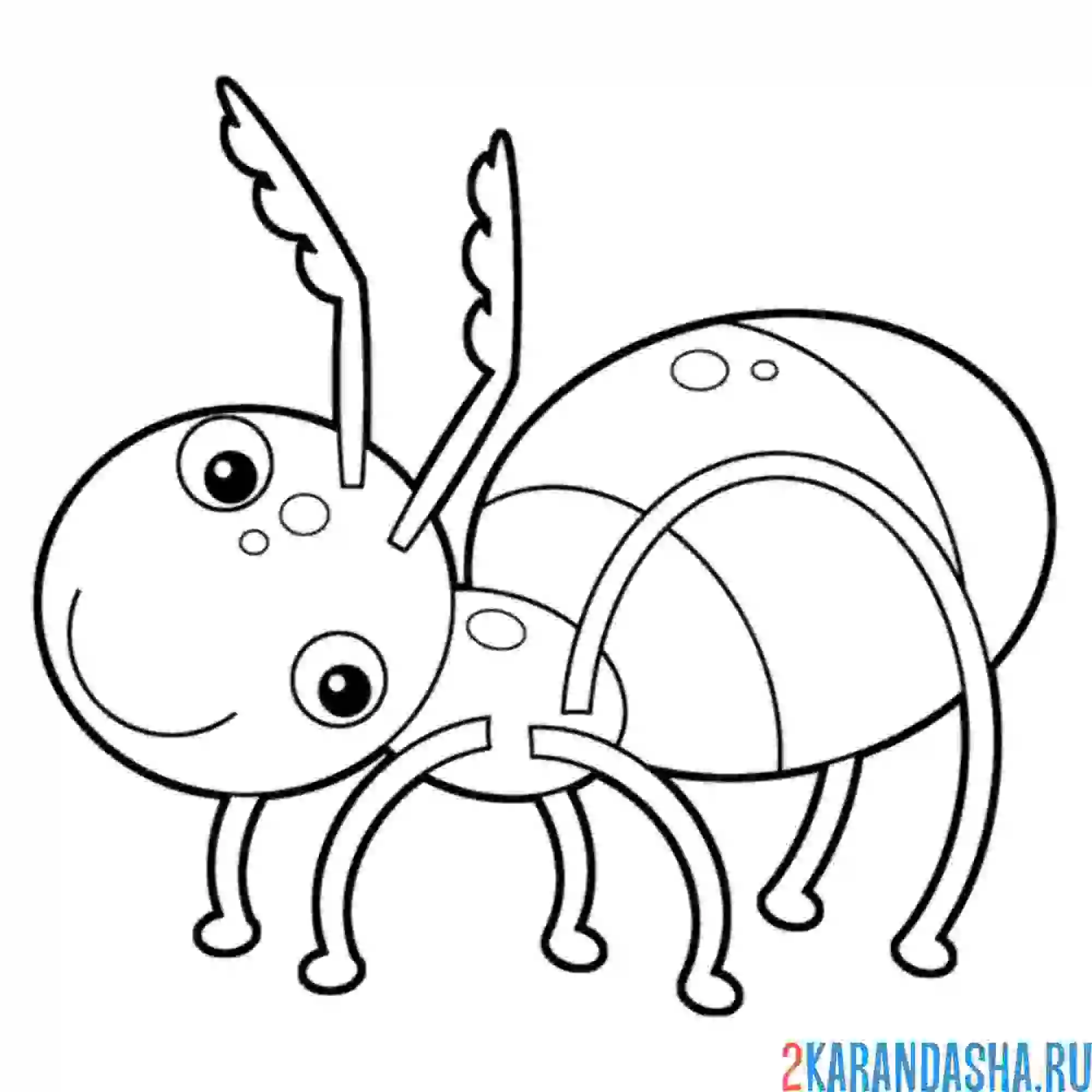 Раскраска муравьишка