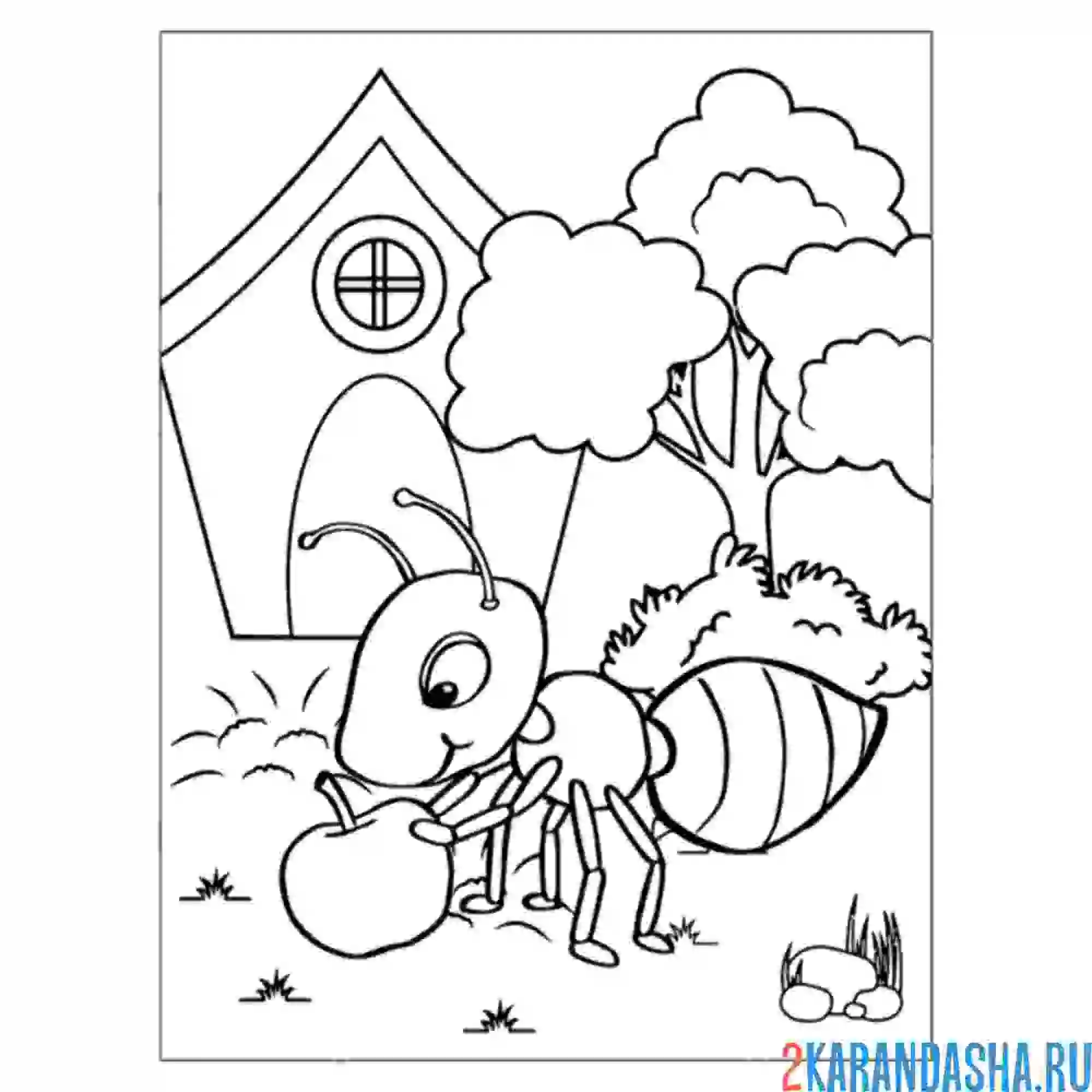 Раскраска муравей в доме