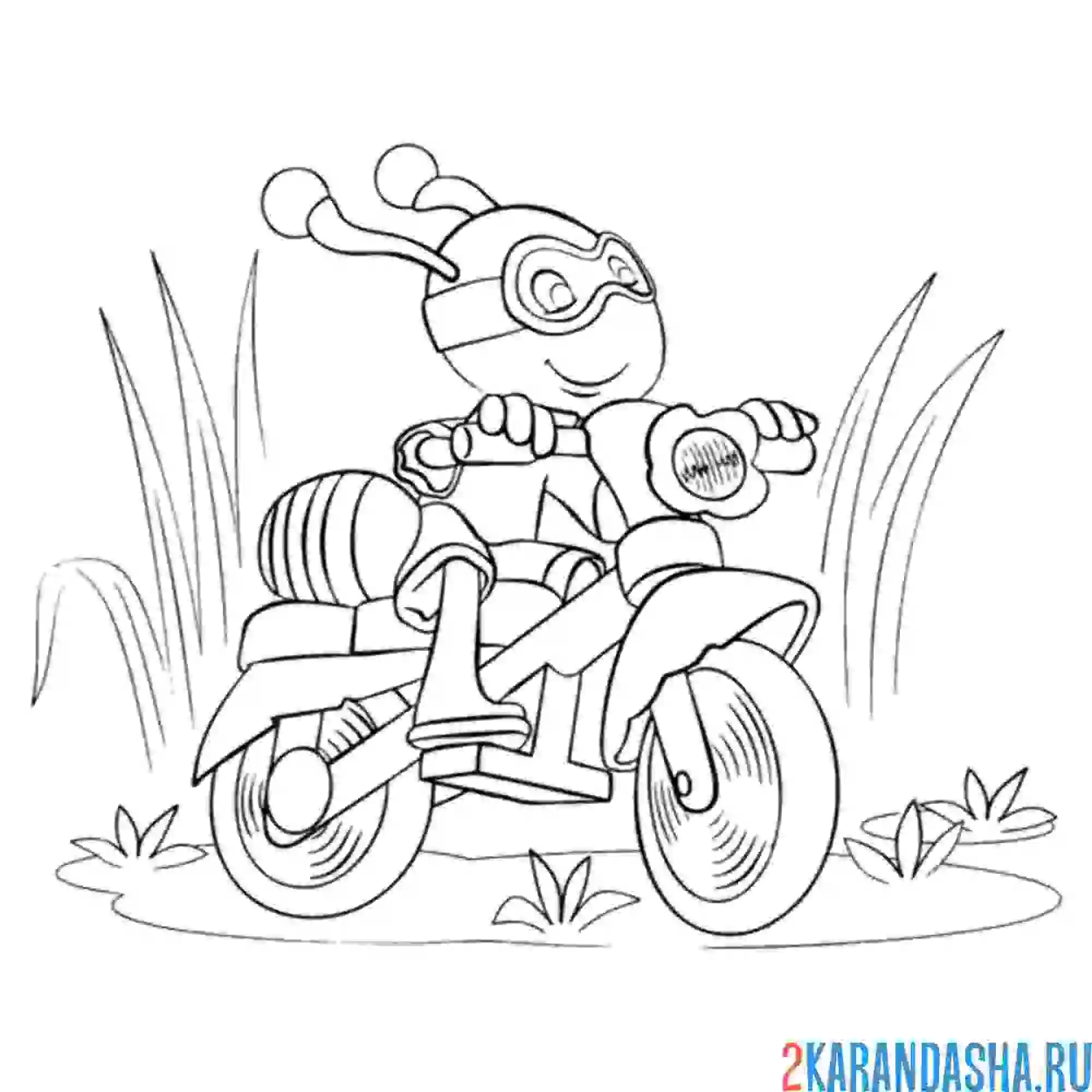 Раскраска муравей на мотоцикле