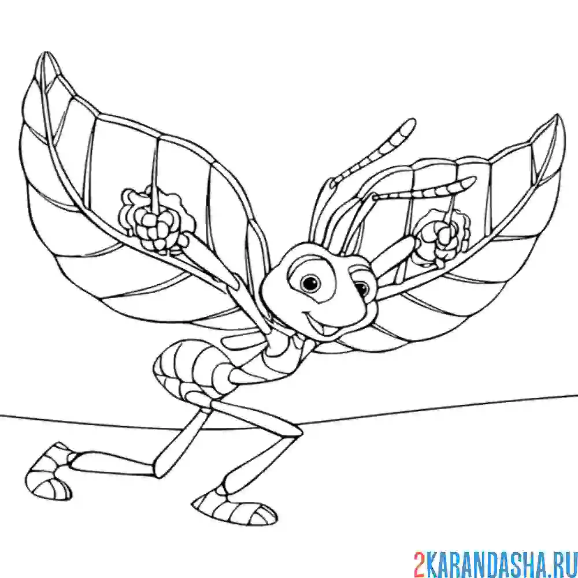 Раскраска муравей летает