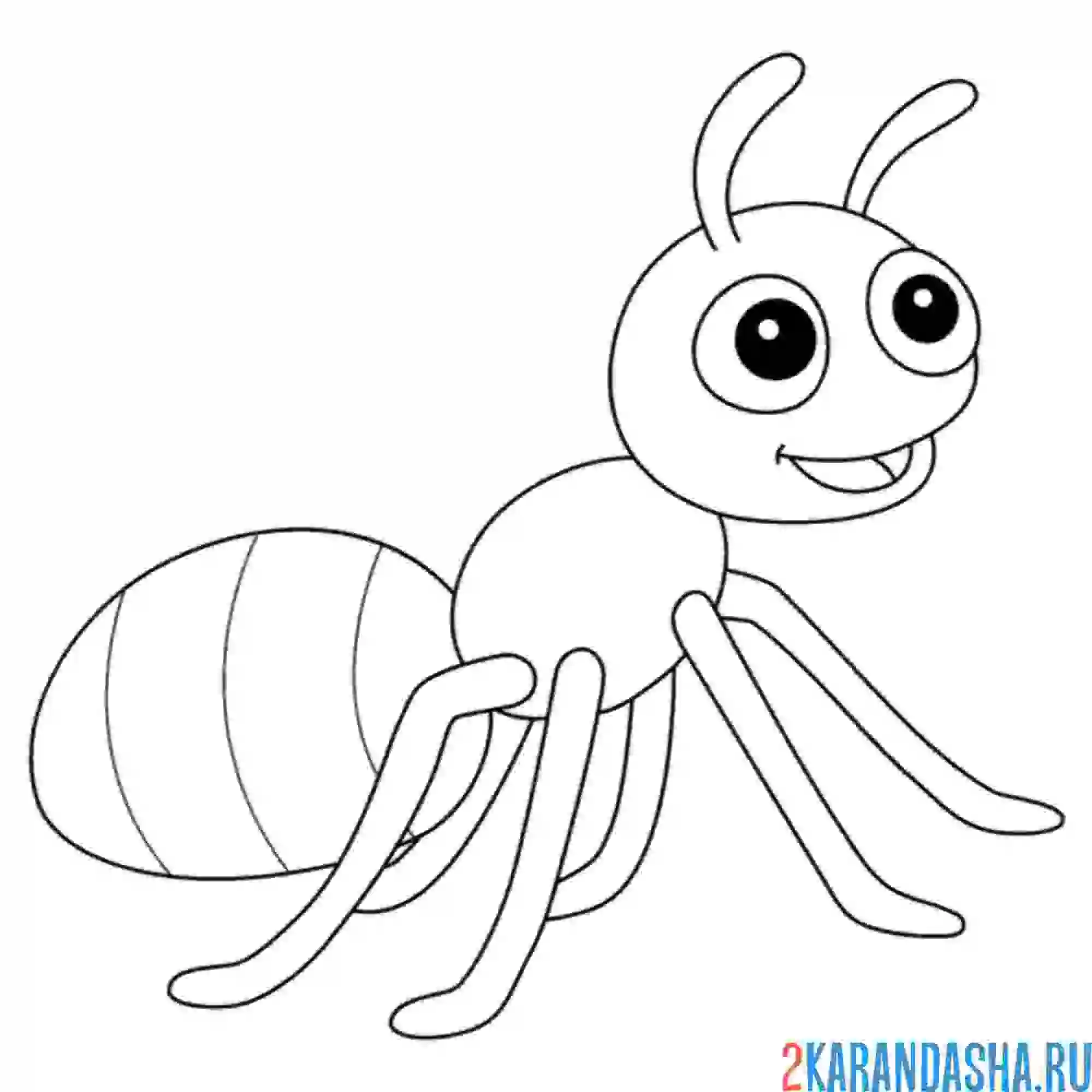 Раскраска муравей с усиками
