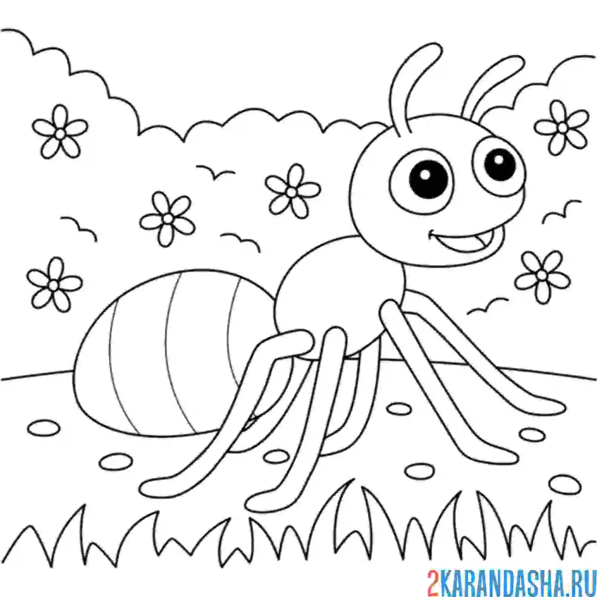 Раскраска муравей в лесу