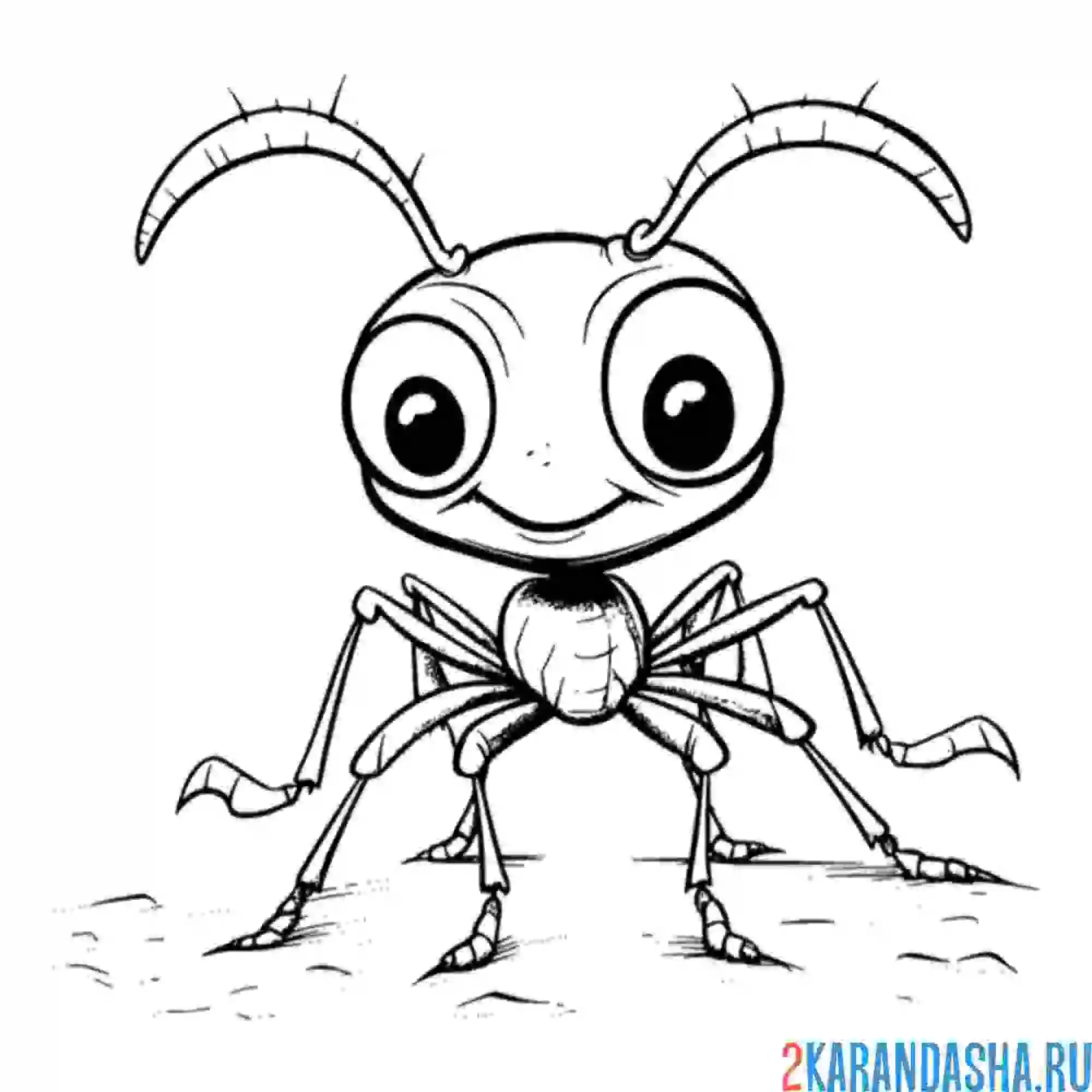 Раскраска муравей вид спереди